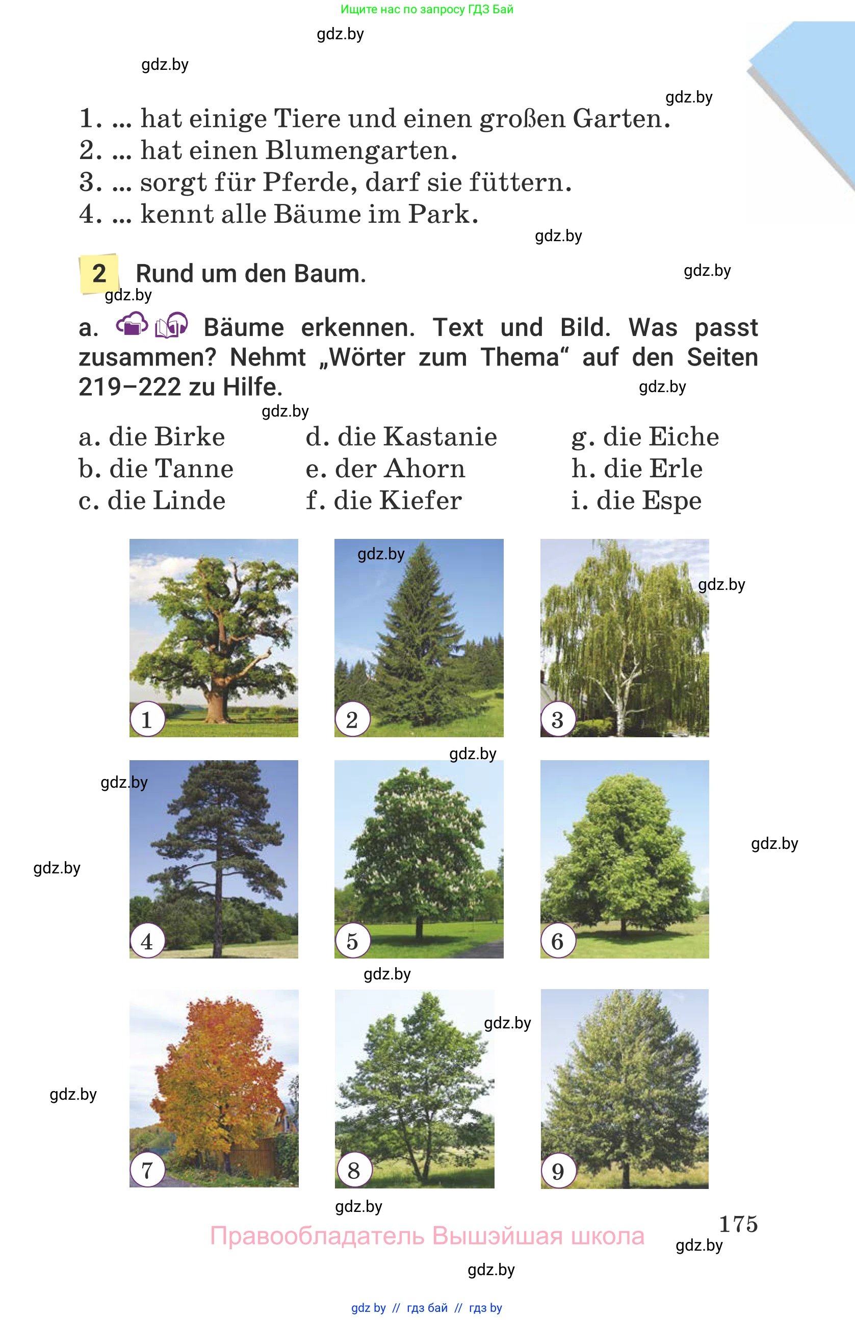 Немецкий язык (Deutsch), 6 класс Учебник (Schülerbuch), авторы: Будько Антонина Филипповна (Budjko Antonina), Урбанович Инна Ювинальевна (Urbanowitsch Ina), издательство Вышэйшая школа, Минск, 2020, бежевого цвета, страница 175