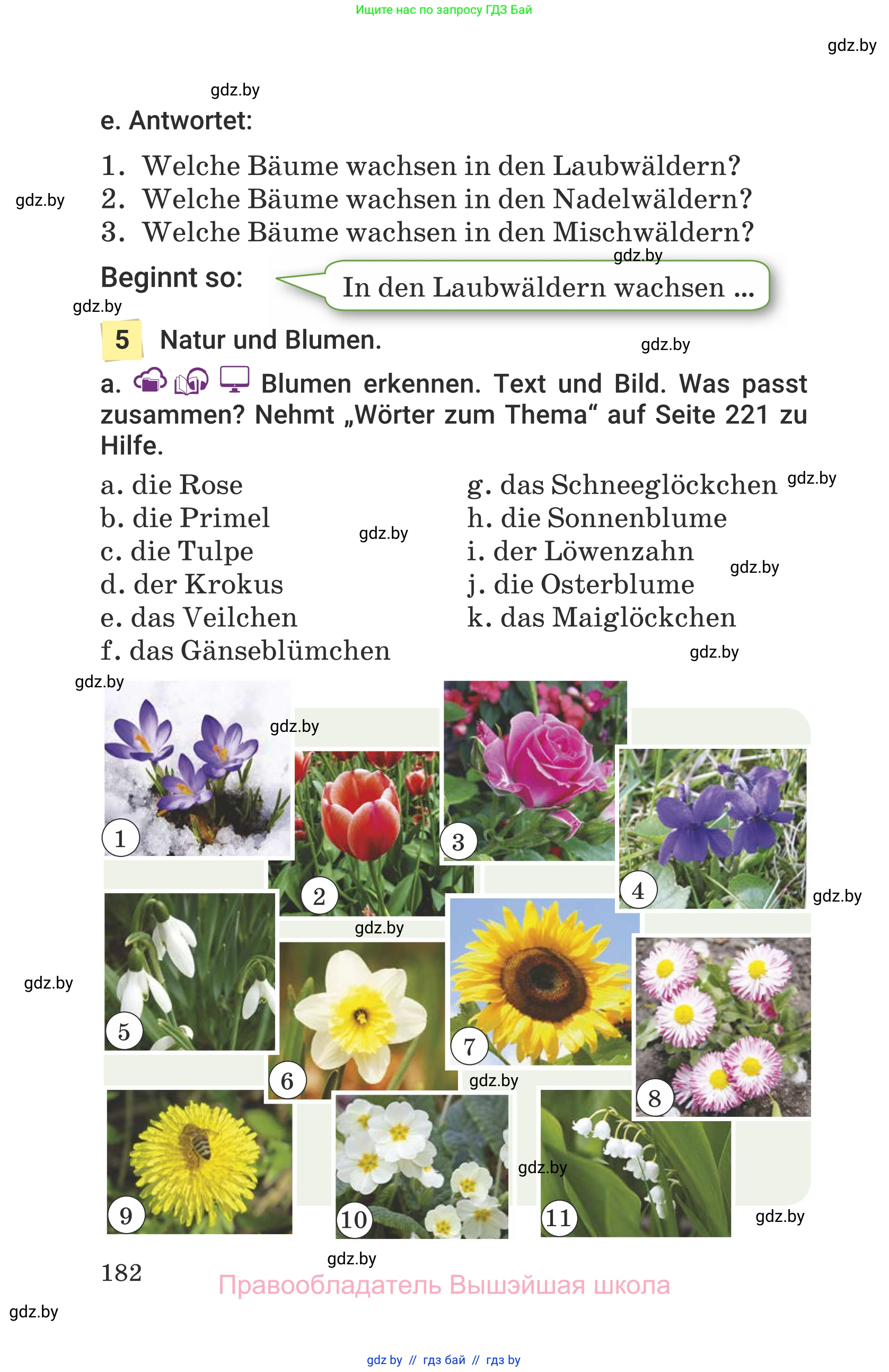 Немецкий язык (Deutsch), 6 класс Учебник (Schülerbuch), авторы: Будько Антонина Филипповна (Budjko Antonina), Урбанович Инна Ювинальевна (Urbanowitsch Ina), издательство Вышэйшая школа, Минск, 2020, бежевого цвета, страница 182