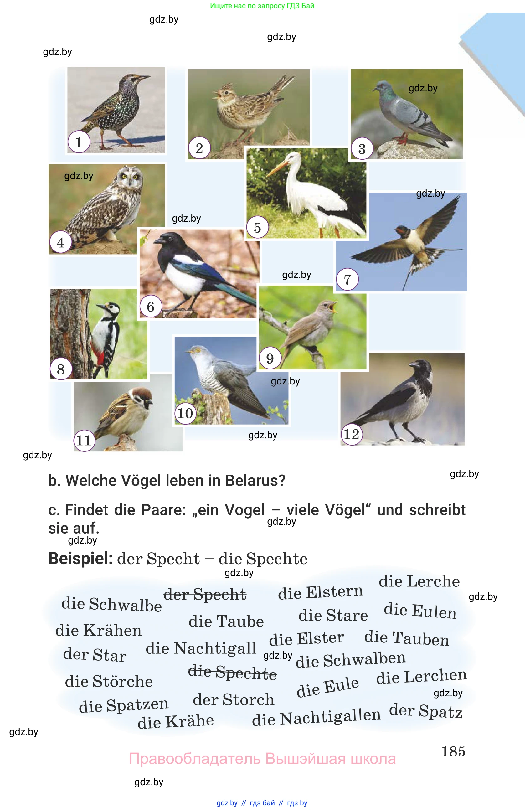 Немецкий язык (Deutsch), 6 класс Учебник (Schülerbuch), авторы: Будько Антонина Филипповна (Budjko Antonina), Урбанович Инна Ювинальевна (Urbanowitsch Ina), издательство Вышэйшая школа, Минск, 2020, бежевого цвета, страница 185