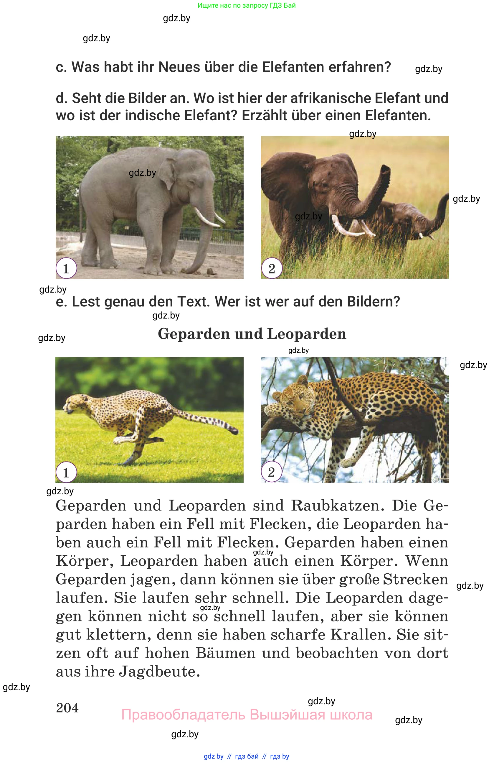 Немецкий язык (Deutsch), 6 класс Учебник (Schülerbuch), авторы: Будько Антонина Филипповна (Budjko Antonina), Урбанович Инна Ювинальевна (Urbanowitsch Ina), издательство Вышэйшая школа, Минск, 2020, бежевого цвета, страница 204