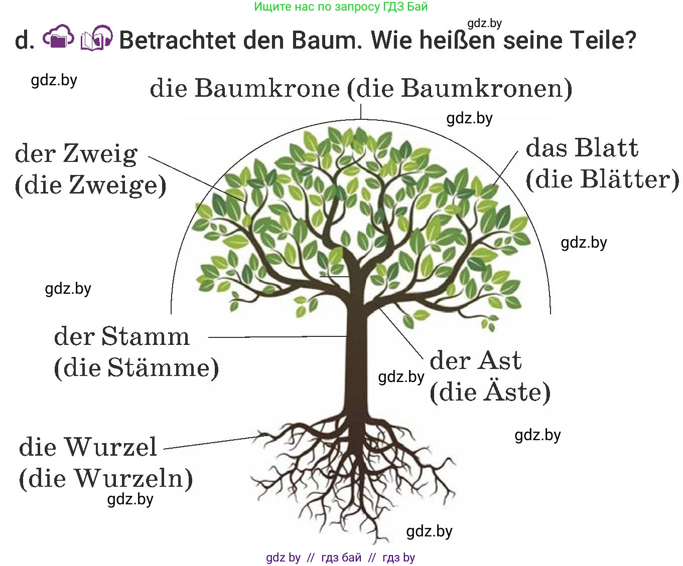 Немецкий язык (Deutsch), 6 класс Учебник (Schülerbuch), авторы: Будько Антонина Филипповна (Budjko Antonina), Урбанович Инна Ювинальевна (Urbanowitsch Ina), издательство Вышэйшая школа, Минск, 2020, бежевого цвета, страница 176, номер d, Условие