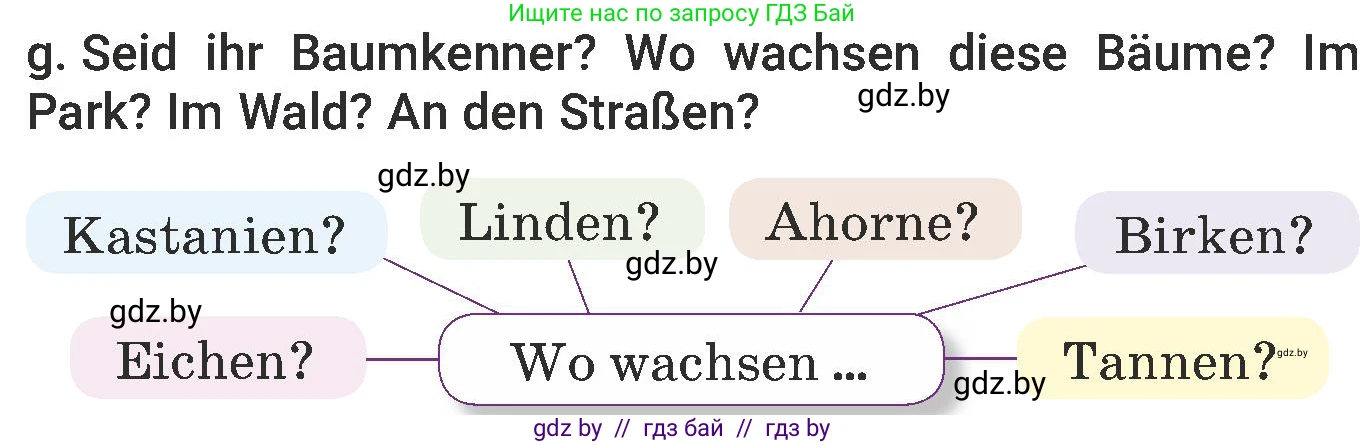 Немецкий язык (Deutsch), 6 класс Учебник (Schülerbuch), авторы: Будько Антонина Филипповна (Budjko Antonina), Урбанович Инна Ювинальевна (Urbanowitsch Ina), издательство Вышэйшая школа, Минск, 2020, бежевого цвета, страница 177, номер g, Условие