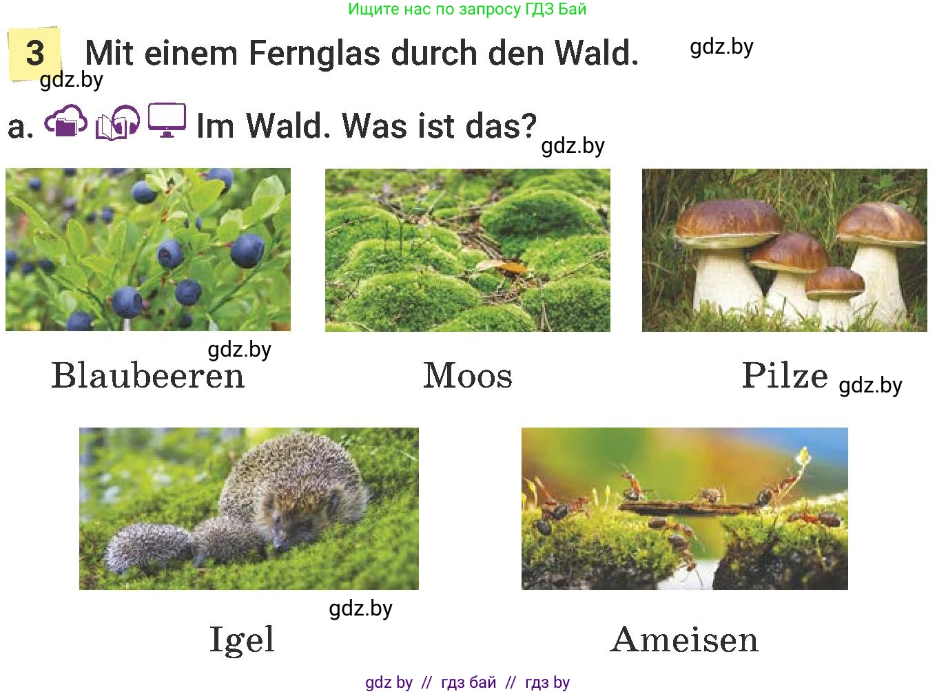 Немецкий язык (Deutsch), 6 класс Учебник (Schülerbuch), авторы: Будько Антонина Филипповна (Budjko Antonina), Урбанович Инна Ювинальевна (Urbanowitsch Ina), издательство Вышэйшая школа, Минск, 2020, бежевого цвета, страница 179, номер a, Условие