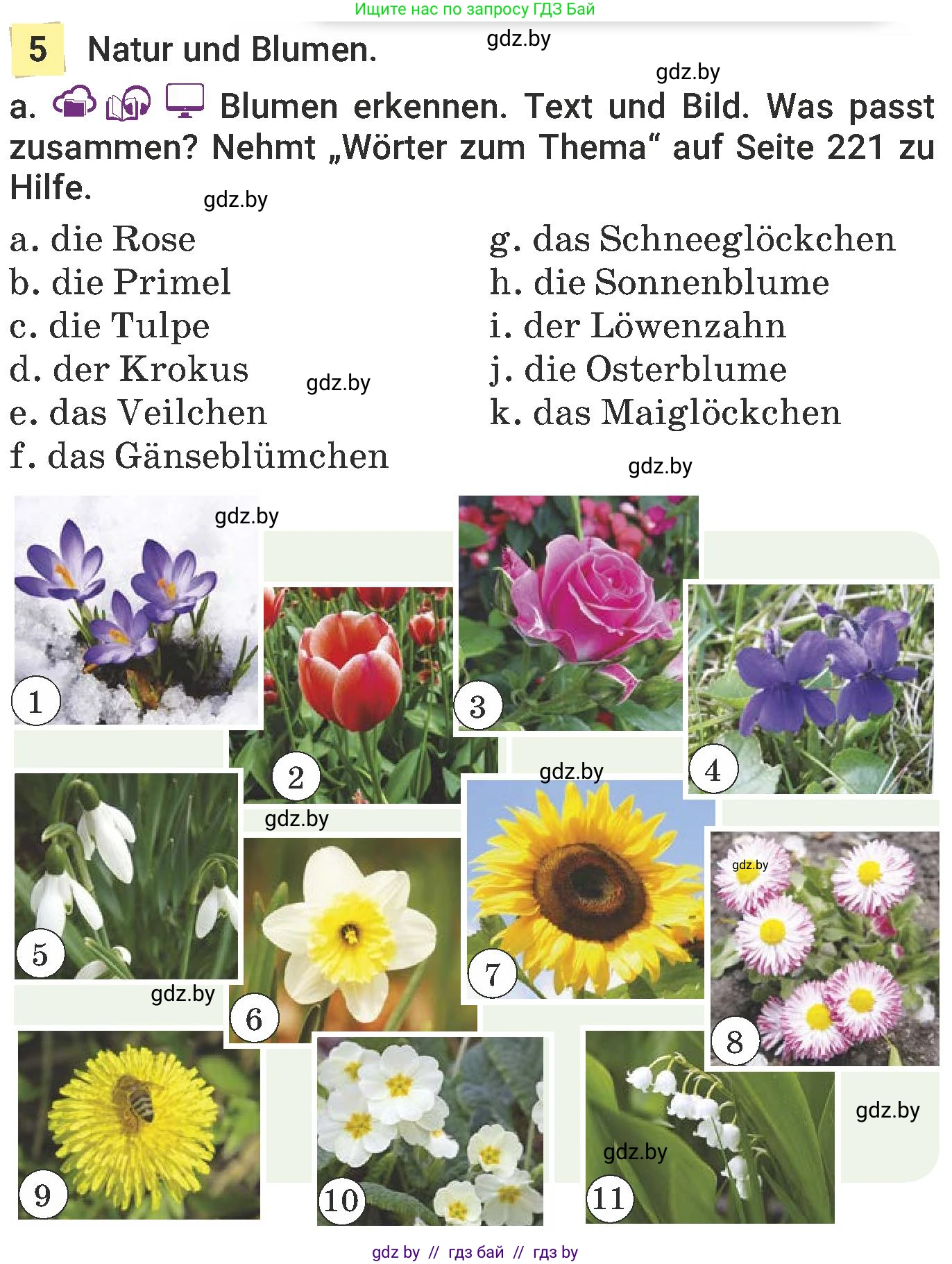 Немецкий язык (Deutsch), 6 класс Учебник (Schülerbuch), авторы: Будько Антонина Филипповна (Budjko Antonina), Урбанович Инна Ювинальевна (Urbanowitsch Ina), издательство Вышэйшая школа, Минск, 2020, бежевого цвета, страница 182, номер a, Условие