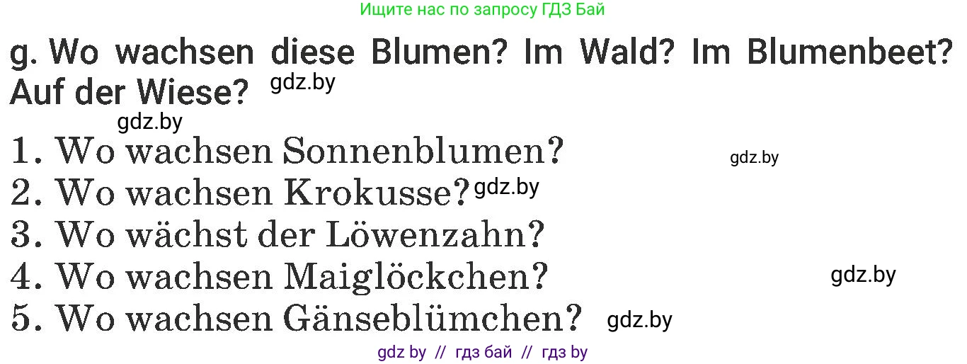 Немецкий язык (Deutsch), 6 класс Учебник (Schülerbuch), авторы: Будько Антонина Филипповна (Budjko Antonina), Урбанович Инна Ювинальевна (Urbanowitsch Ina), издательство Вышэйшая школа, Минск, 2020, бежевого цвета, страница 184, номер g, Условие