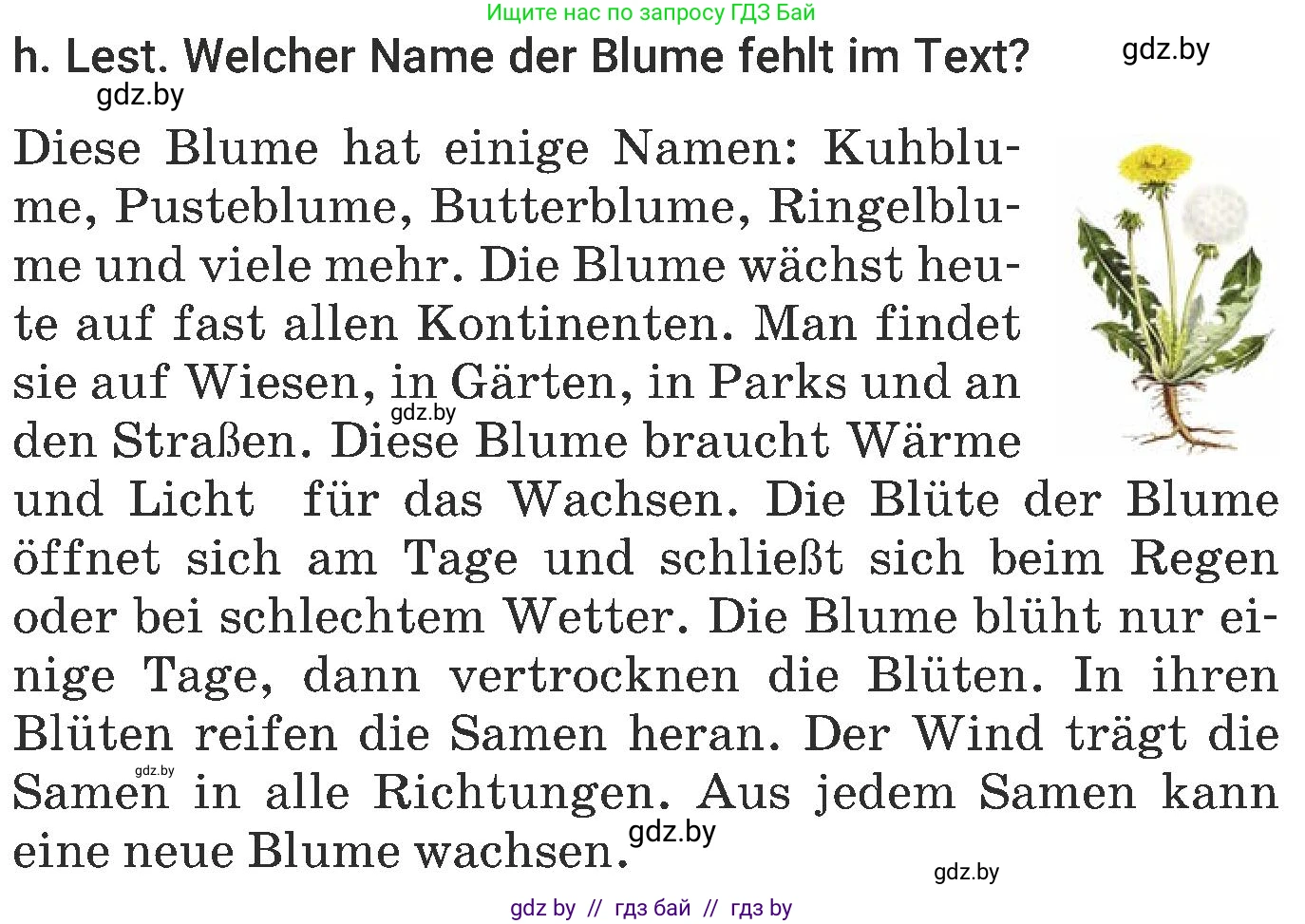 Немецкий язык (Deutsch), 6 класс Учебник (Schülerbuch), авторы: Будько Антонина Филипповна (Budjko Antonina), Урбанович Инна Ювинальевна (Urbanowitsch Ina), издательство Вышэйшая школа, Минск, 2020, бежевого цвета, страница 184, номер h, Условие