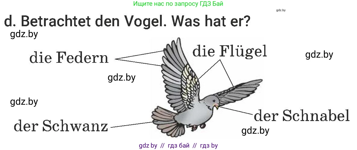 Немецкий язык (Deutsch), 6 класс Учебник (Schülerbuch), авторы: Будько Антонина Филипповна (Budjko Antonina), Урбанович Инна Ювинальевна (Urbanowitsch Ina), издательство Вышэйшая школа, Минск, 2020, бежевого цвета, страница 186, номер d, Условие