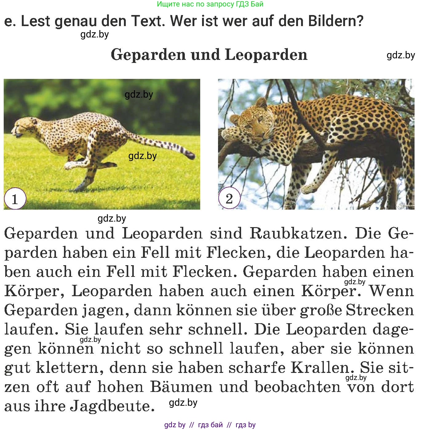 Немецкий язык (Deutsch), 6 класс Учебник (Schülerbuch), авторы: Будько Антонина Филипповна (Budjko Antonina), Урбанович Инна Ювинальевна (Urbanowitsch Ina), издательство Вышэйшая школа, Минск, 2020, бежевого цвета, страница 204, номер e, Условие