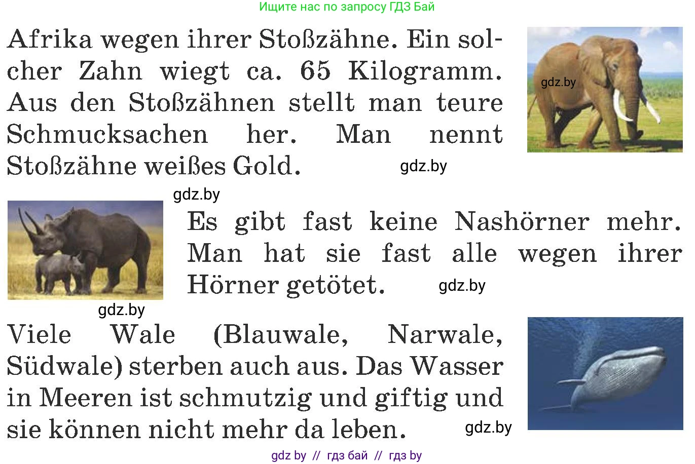 Немецкий язык (Deutsch), 6 класс Учебник (Schülerbuch), авторы: Будько Антонина Филипповна (Budjko Antonina), Урбанович Инна Ювинальевна (Urbanowitsch Ina), издательство Вышэйшая школа, Минск, 2020, бежевого цвета, страница 205, номер c, Условие (продолжение 2)