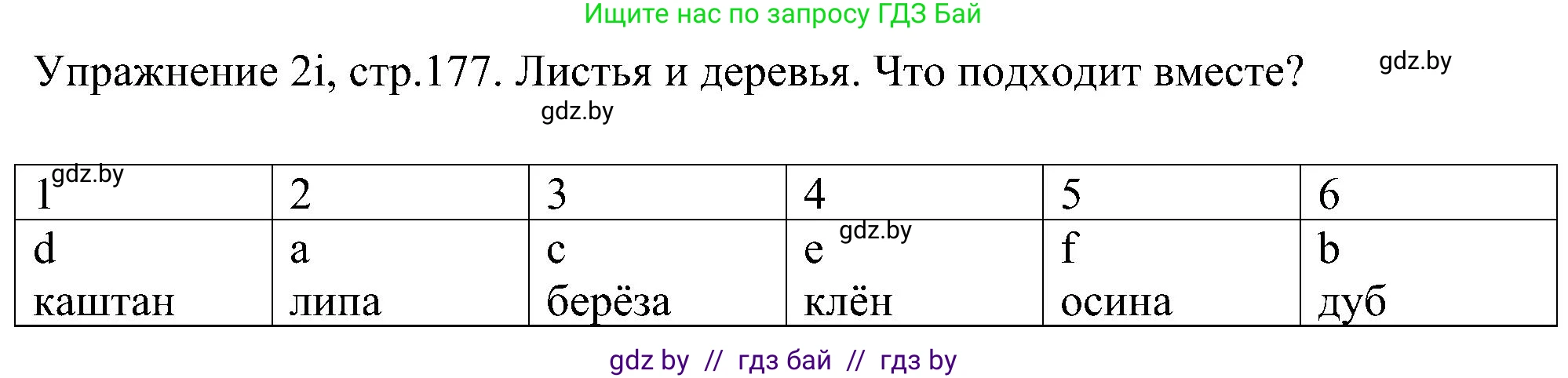 Немецкий язык (Deutsch), 6 класс Учебник (Schülerbuch), авторы: Будько Антонина Филипповна (Budjko Antonina), Урбанович Инна Ювинальевна (Urbanowitsch Ina), издательство Вышэйшая школа, Минск, 2020, бежевого цвета, страница 177, номер i, Решение
