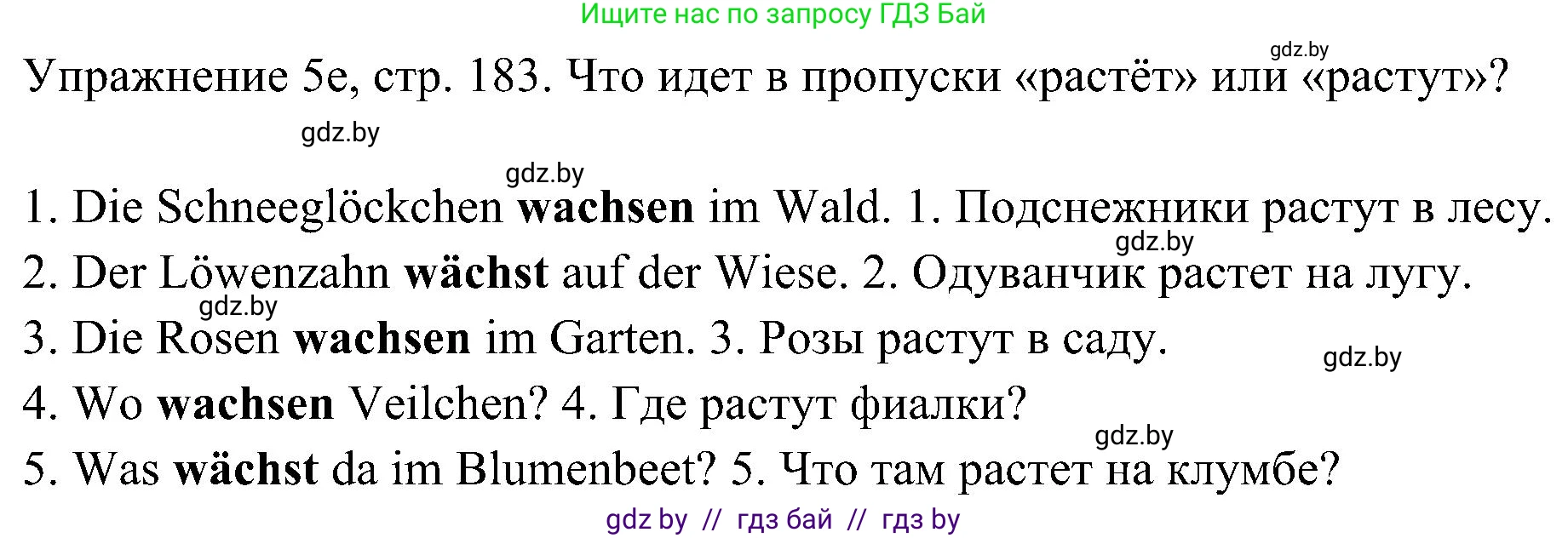 Немецкий язык (Deutsch), 6 класс Учебник (Schülerbuch), авторы: Будько Антонина Филипповна (Budjko Antonina), Урбанович Инна Ювинальевна (Urbanowitsch Ina), издательство Вышэйшая школа, Минск, 2020, бежевого цвета, страница 183, номер e, Решение