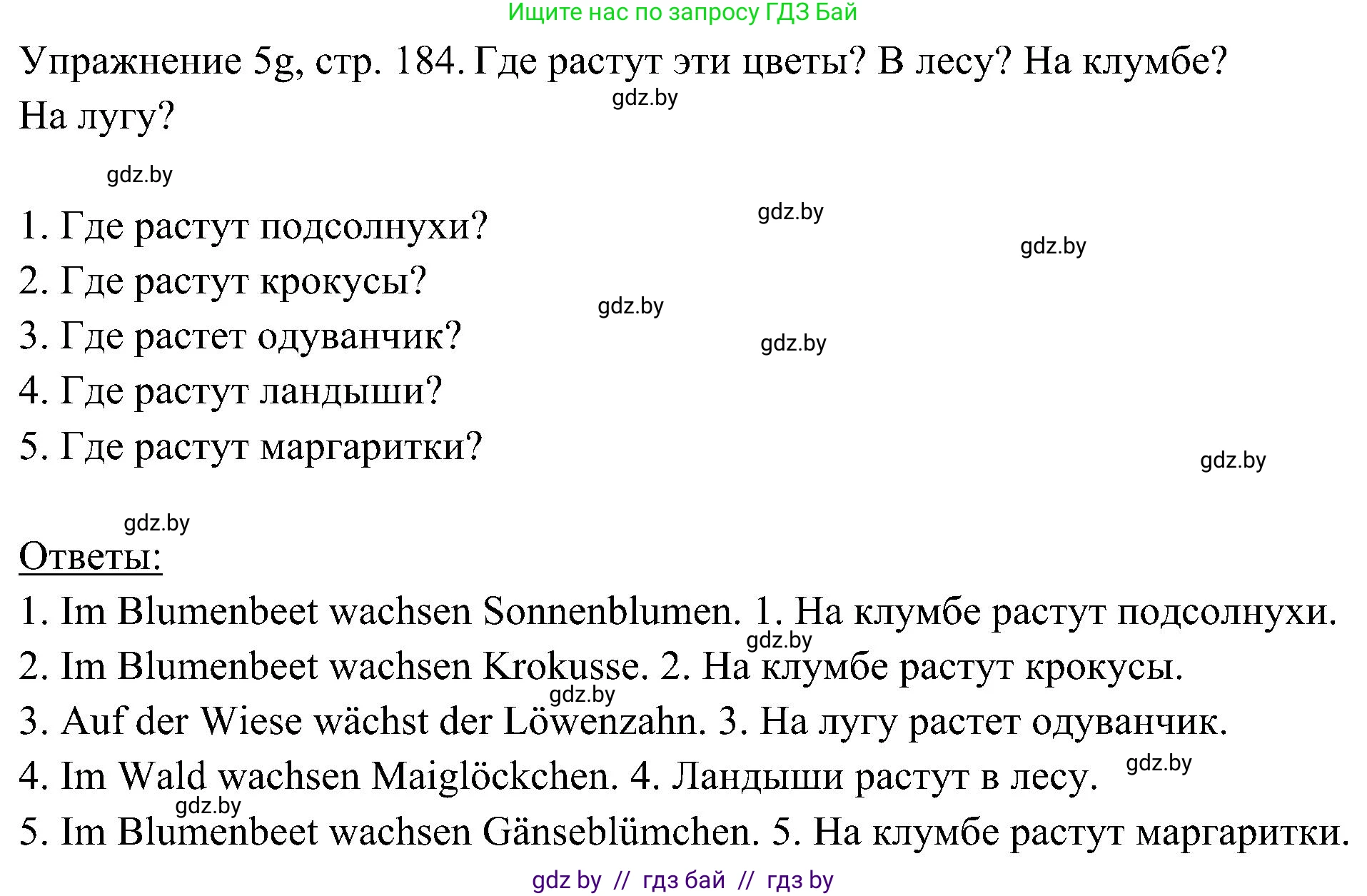 Немецкий язык (Deutsch), 6 класс Учебник (Schülerbuch), авторы: Будько Антонина Филипповна (Budjko Antonina), Урбанович Инна Ювинальевна (Urbanowitsch Ina), издательство Вышэйшая школа, Минск, 2020, бежевого цвета, страница 184, номер g, Решение