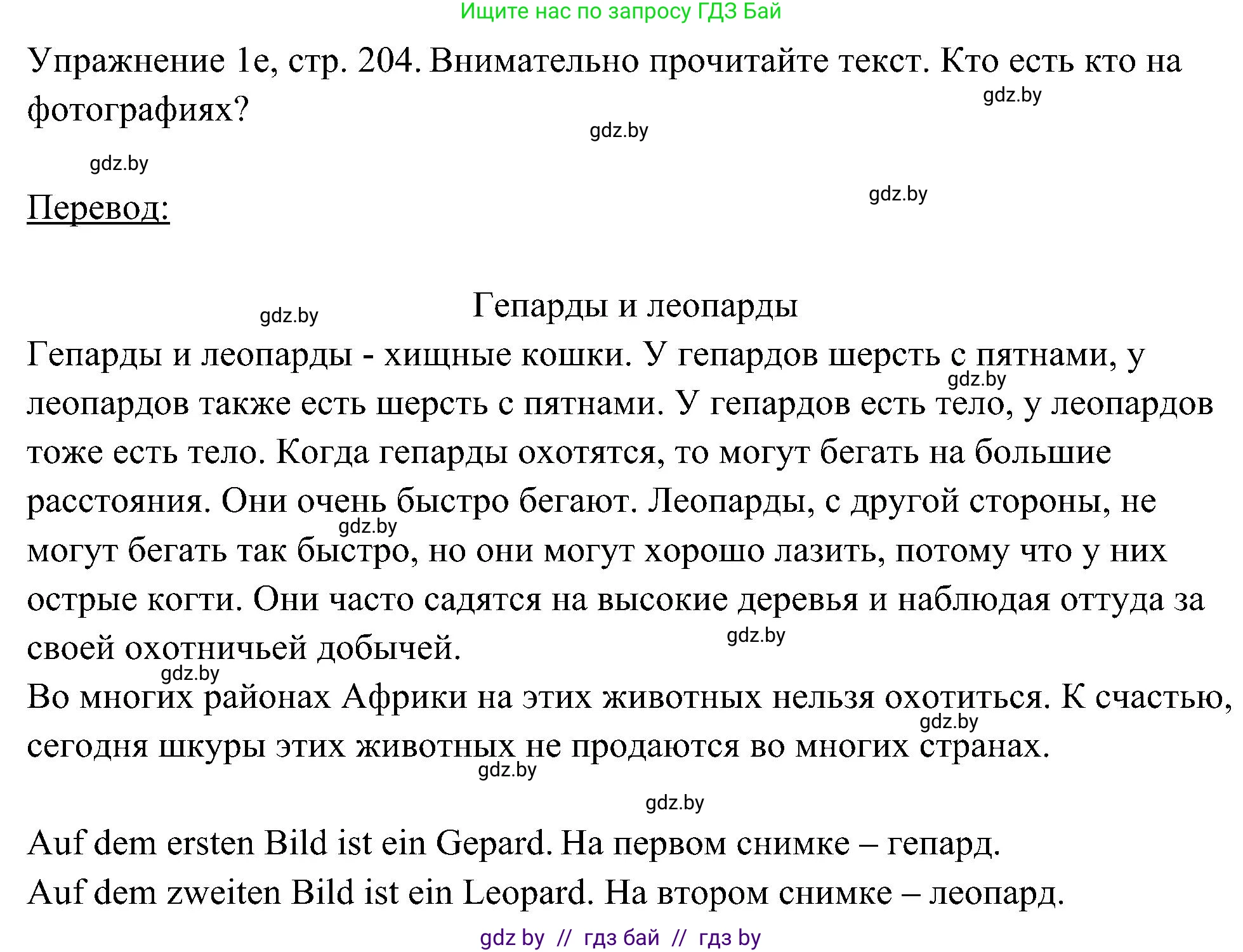 Немецкий язык (Deutsch), 6 класс Учебник (Schülerbuch), авторы: Будько Антонина Филипповна (Budjko Antonina), Урбанович Инна Ювинальевна (Urbanowitsch Ina), издательство Вышэйшая школа, Минск, 2020, бежевого цвета, страница 204, номер e, Решение
