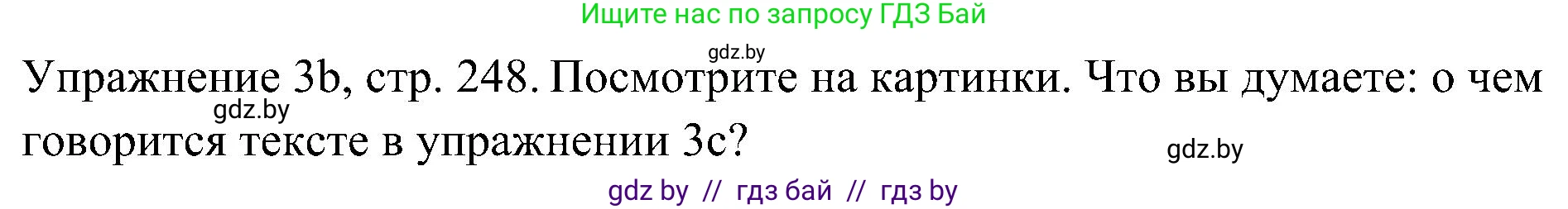 Немецкий язык (Deutsch), 6 класс Учебник (Schülerbuch), авторы: Будько Антонина Филипповна (Budjko Antonina), Урбанович Инна Ювинальевна (Urbanowitsch Ina), издательство Вышэйшая школа, Минск, 2020, бежевого цвета, страница 248, номер b, Решение