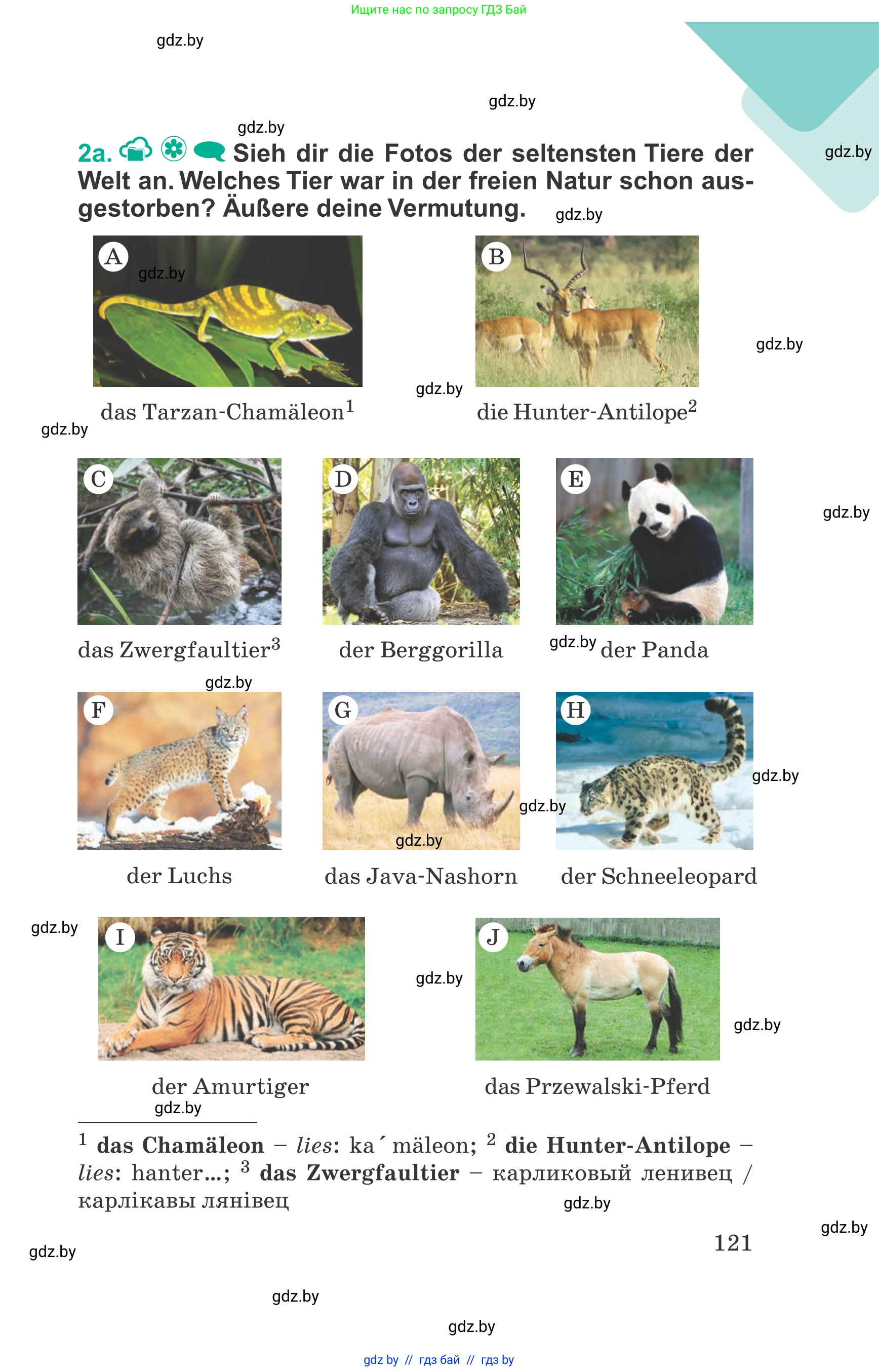 Немецкий язык (Deutsch), 6 класс Учебник (Schülerbuch), авторы: Зуевская Елена Викторовна, Салынская Светлана Ивановна, Негурэ Ольга Вячеславовна, издательство Вышэйшая школа, Минск, 2022, жёлтого цвета, Teil 2, страница 121