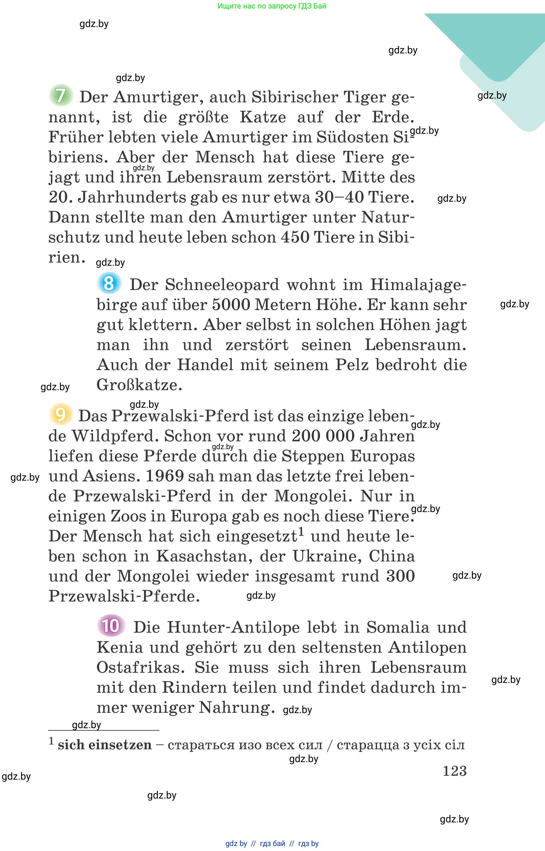 Немецкий язык (Deutsch), 6 класс Учебник (Schülerbuch), авторы: Зуевская Елена Викторовна, Салынская Светлана Ивановна, Негурэ Ольга Вячеславовна, издательство Вышэйшая школа, Минск, 2022, жёлтого цвета, страница 123