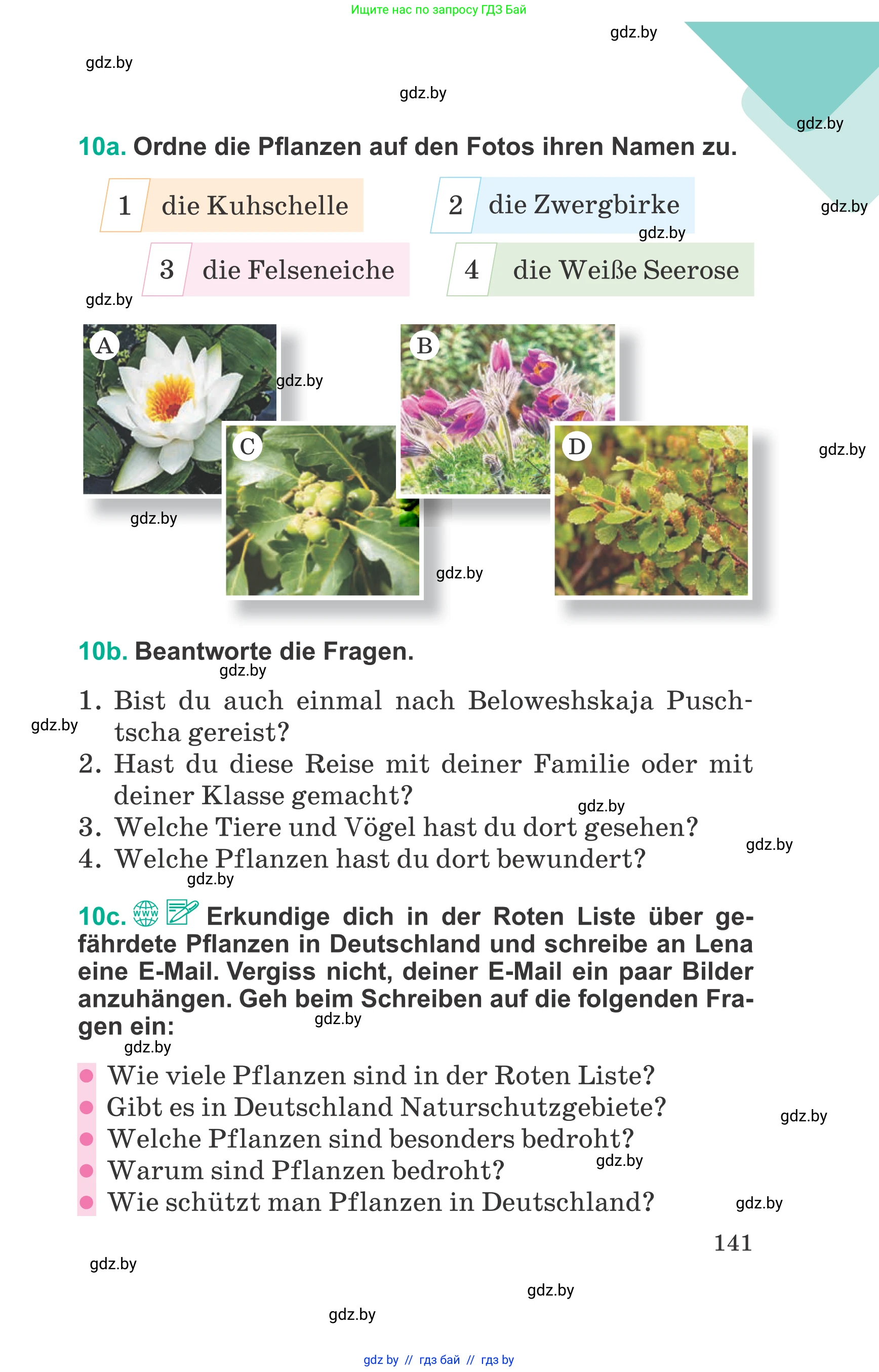 Немецкий язык (Deutsch), 6 класс Учебник (Schülerbuch), авторы: Зуевская Елена Викторовна, Салынская Светлана Ивановна, Негурэ Ольга Вячеславовна, издательство Вышэйшая школа, Минск, 2022, жёлтого цвета, страница 141