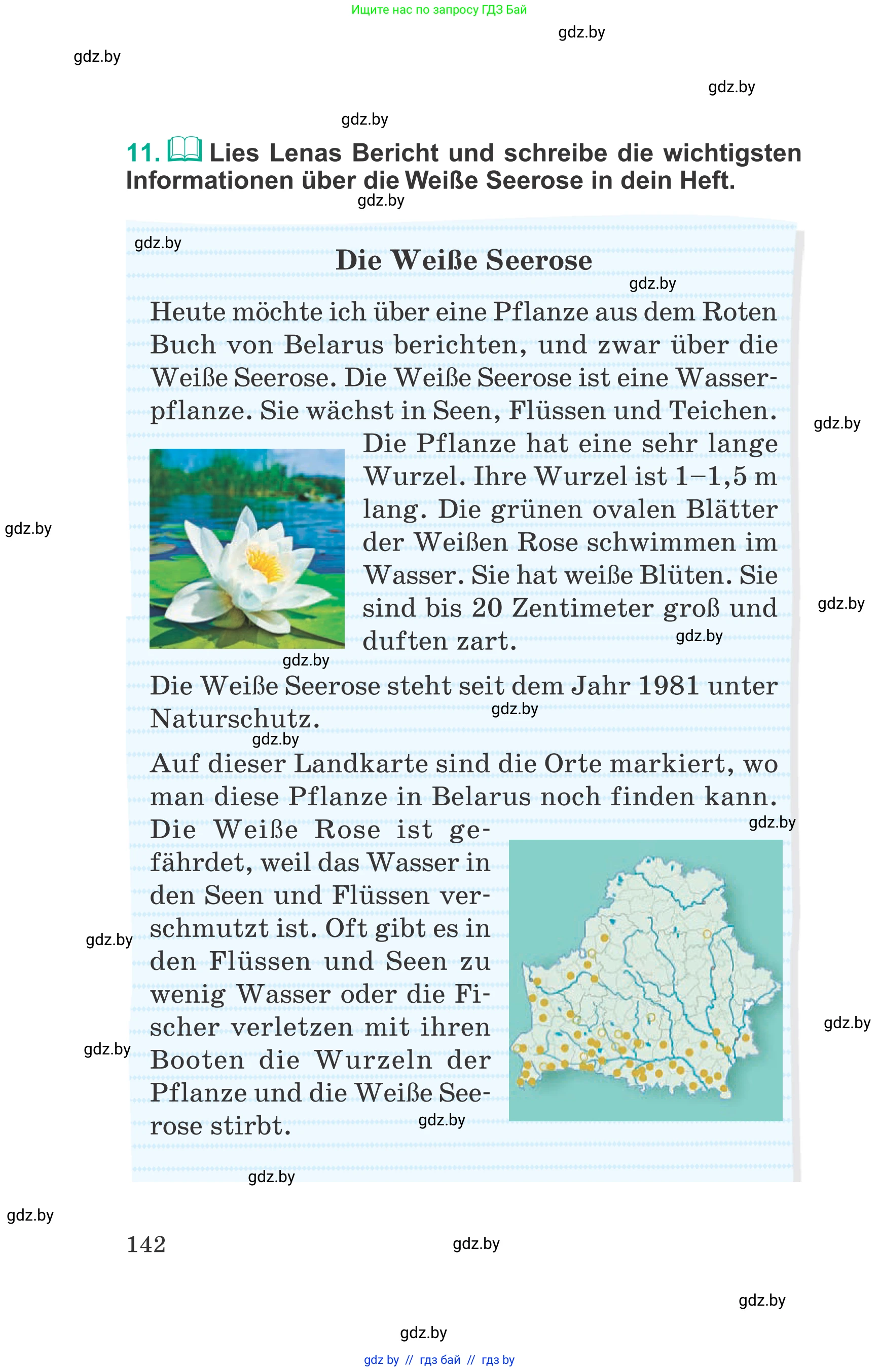 Немецкий язык (Deutsch), 6 класс Учебник (Schülerbuch), авторы: Зуевская Елена Викторовна, Салынская Светлана Ивановна, Негурэ Ольга Вячеславовна, издательство Вышэйшая школа, Минск, 2022, жёлтого цвета, Teil 2, страница 142