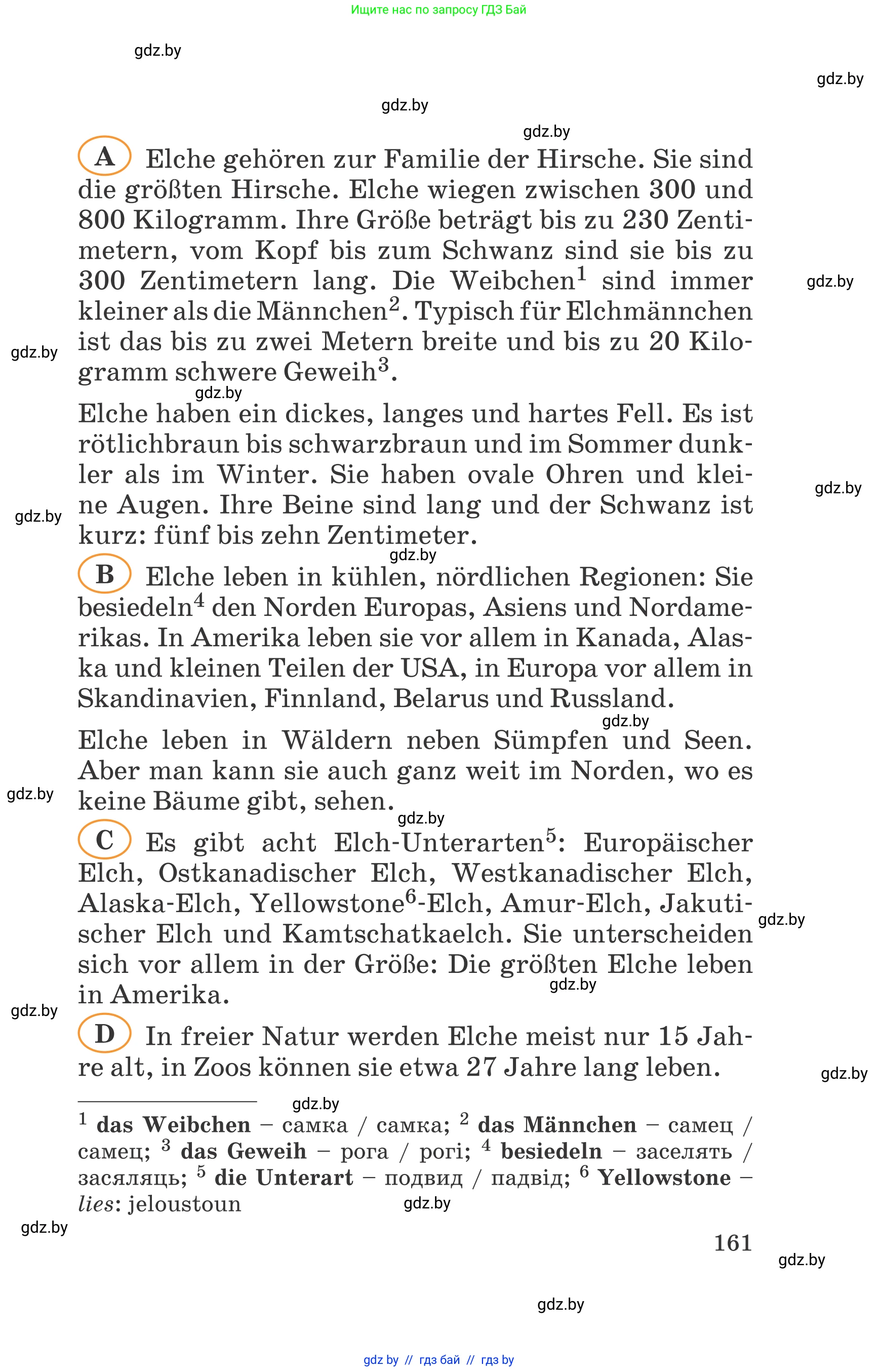 Немецкий язык (Deutsch), 6 класс Учебник (Schülerbuch), авторы: Зуевская Елена Викторовна, Салынская Светлана Ивановна, Негурэ Ольга Вячеславовна, издательство Вышэйшая школа, Минск, 2022, жёлтого цвета, страница 161