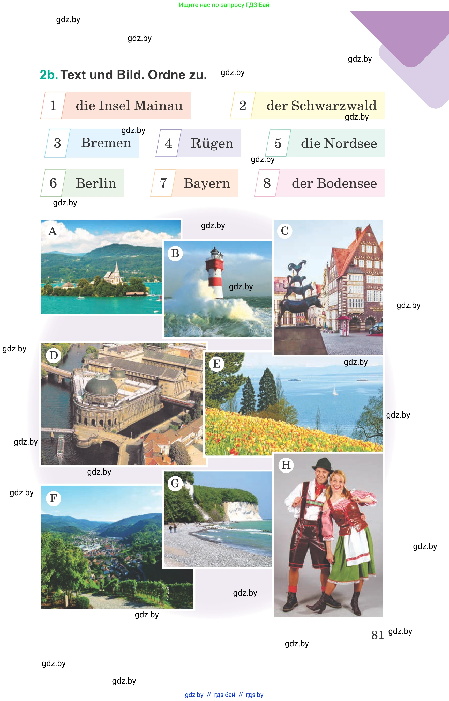 Немецкий язык (Deutsch), 6 класс Учебник (Schülerbuch), авторы: Зуевская Елена Викторовна, Салынская Светлана Ивановна, Негурэ Ольга Вячеславовна, издательство Вышэйшая школа, Минск, 2022, жёлтого цвета, страница 81