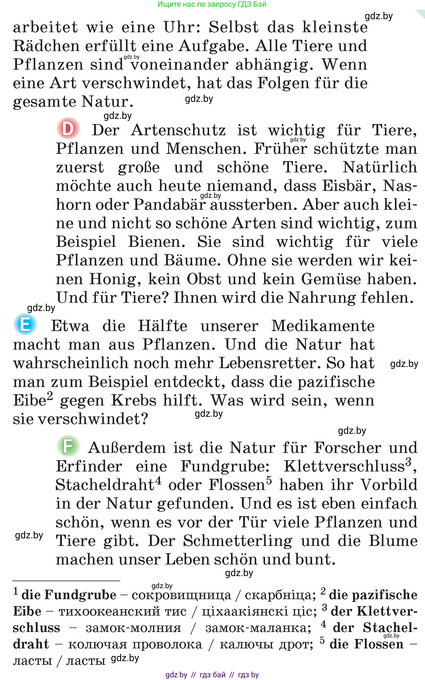 Немецкий язык (Deutsch), 6 класс Учебник (Schülerbuch), авторы: Зуевская Елена Викторовна, Салынская Светлана Ивановна, Негурэ Ольга Вячеславовна, издательство Вышэйшая школа, Минск, 2022, жёлтого цвета, Teil 2, страница 114, номер 2, Условие (продолжение 2)