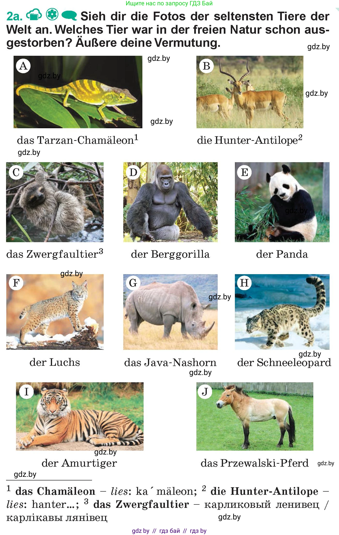 Немецкий язык (Deutsch), 6 класс Учебник (Schülerbuch), авторы: Зуевская Елена Викторовна, Салынская Светлана Ивановна, Негурэ Ольга Вячеславовна, издательство Вышэйшая школа, Минск, 2022, жёлтого цвета, Teil 2, страница 121, номер 2, Условие