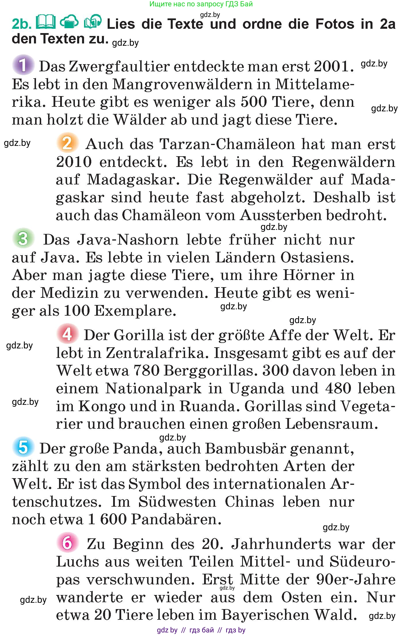 Немецкий язык (Deutsch), 6 класс Учебник (Schülerbuch), авторы: Зуевская Елена Викторовна, Салынская Светлана Ивановна, Негурэ Ольга Вячеславовна, издательство Вышэйшая школа, Минск, 2022, жёлтого цвета, Teil 2, страница 121, номер 2, Условие (продолжение 2)