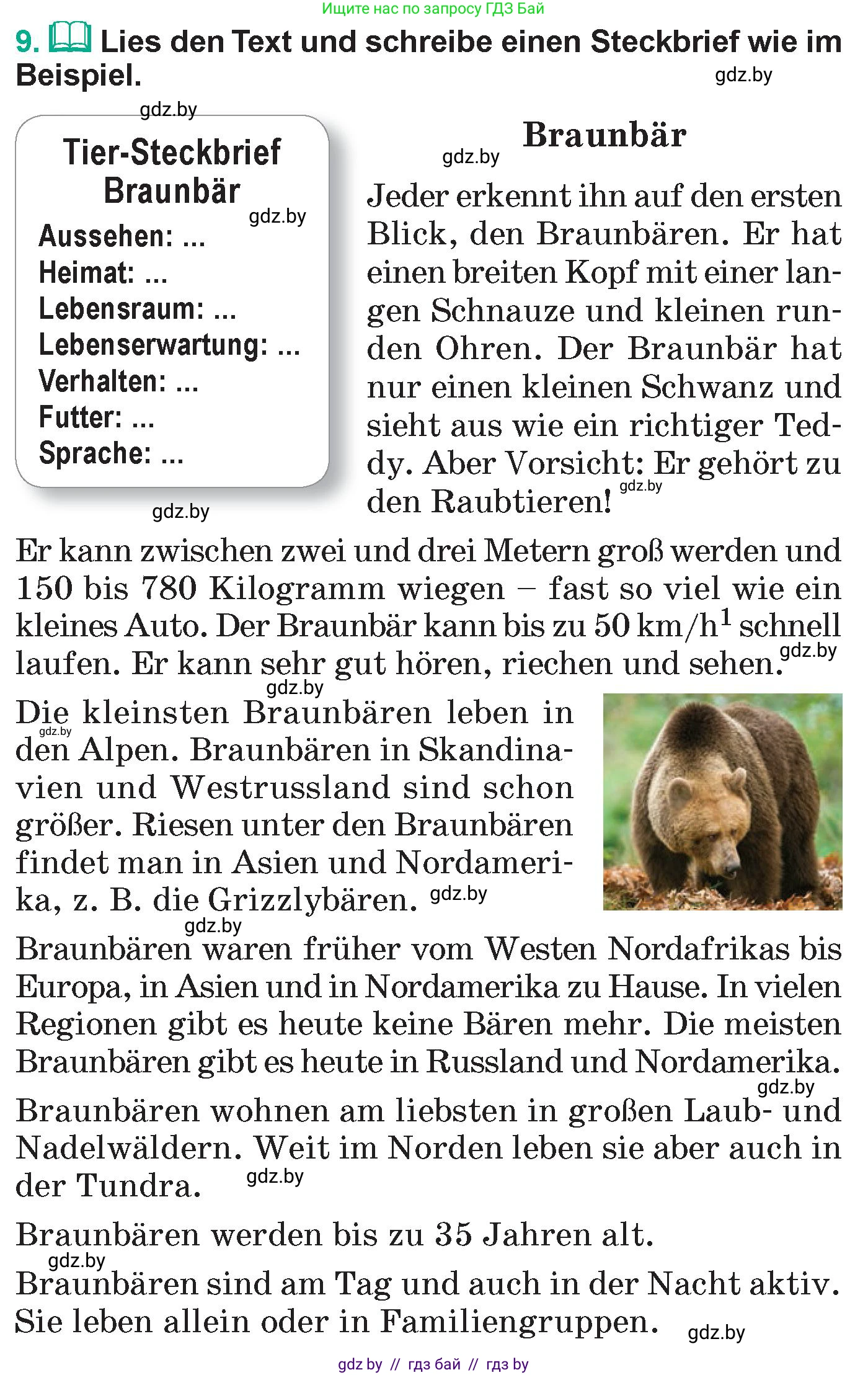 Немецкий язык (Deutsch), 6 класс Учебник (Schülerbuch), авторы: Зуевская Елена Викторовна, Салынская Светлана Ивановна, Негурэ Ольга Вячеславовна, издательство Вышэйшая школа, Минск, 2022, жёлтого цвета, Teil 2, страница 130, номер 9, Условие