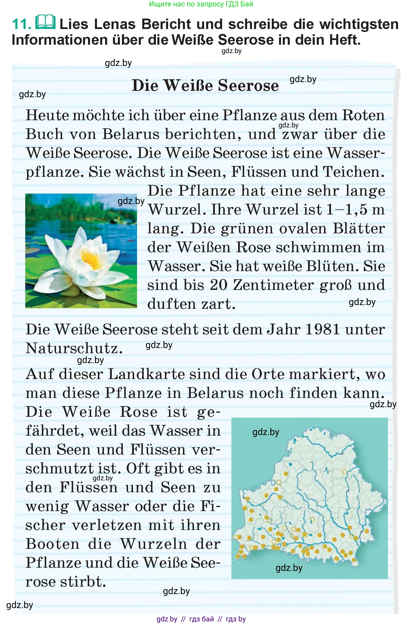 Немецкий язык (Deutsch), 6 класс Учебник (Schülerbuch), авторы: Зуевская Елена Викторовна, Салынская Светлана Ивановна, Негурэ Ольга Вячеславовна, издательство Вышэйшая школа, Минск, 2022, жёлтого цвета, Teil 2, страница 142, номер 11, Условие