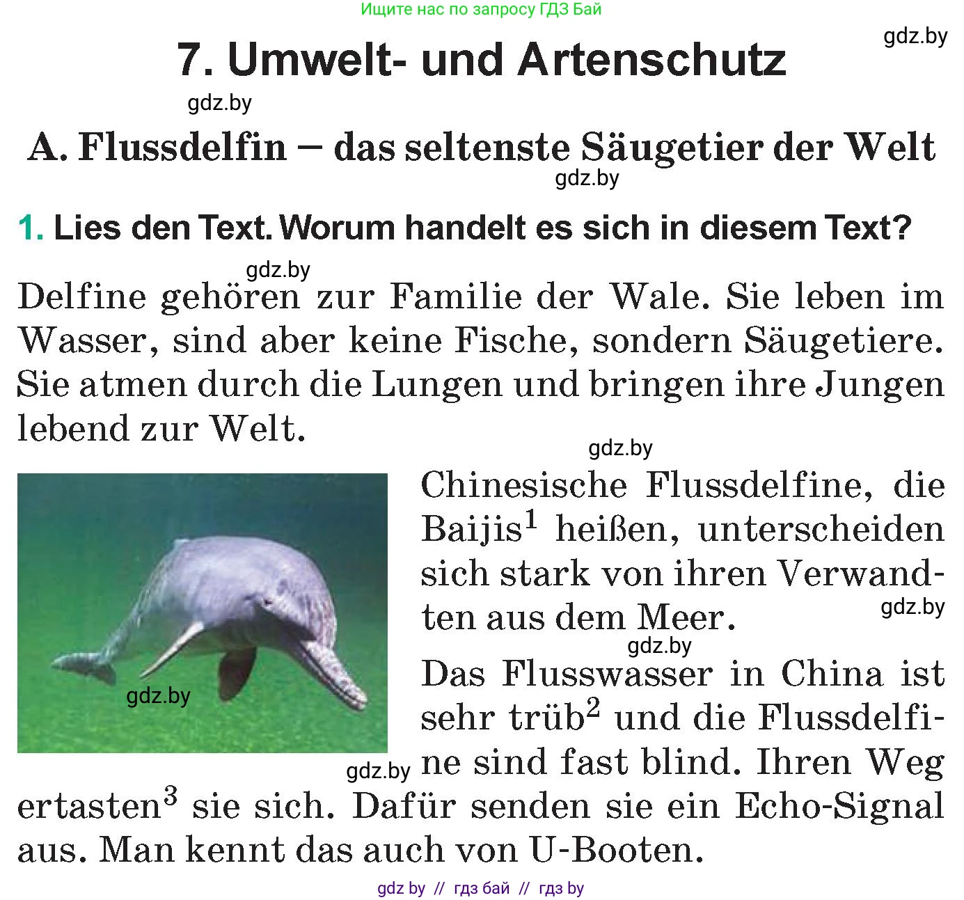 Немецкий язык (Deutsch), 6 класс Учебник (Schülerbuch), авторы: Зуевская Елена Викторовна, Салынская Светлана Ивановна, Негурэ Ольга Вячеславовна, издательство Вышэйшая школа, Минск, 2022, жёлтого цвета, Teil 2, страница 158, номер 1, Условие