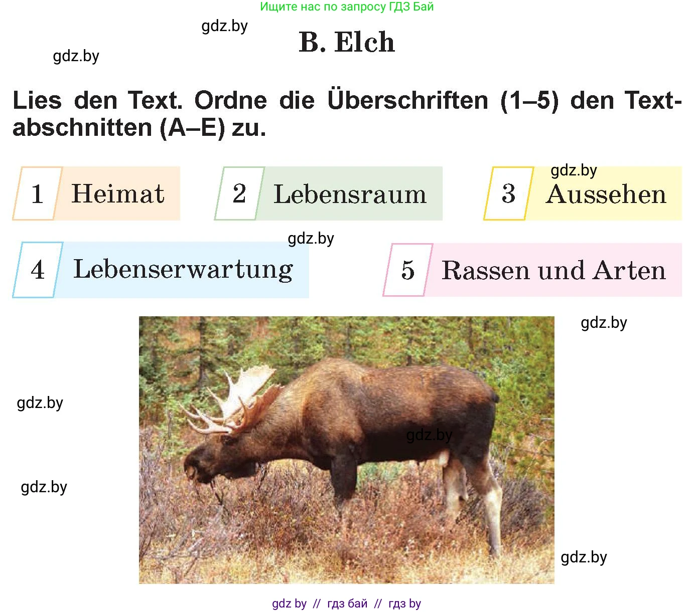 Немецкий язык (Deutsch), 6 класс Учебник (Schülerbuch), авторы: Зуевская Елена Викторовна, Салынская Светлана Ивановна, Негурэ Ольга Вячеславовна, издательство Вышэйшая школа, Минск, 2022, жёлтого цвета, Teil 2, страница 160, номер 1, Условие