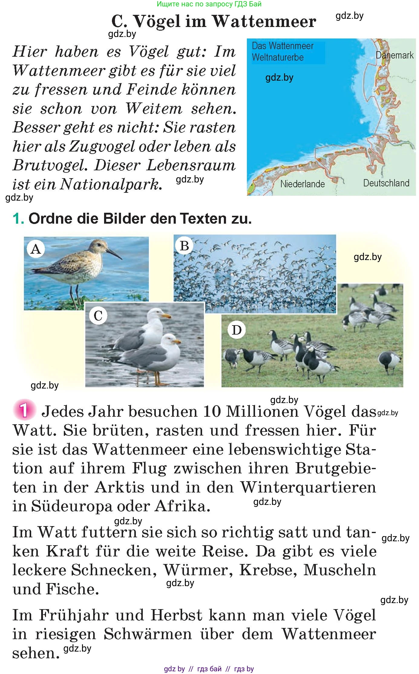 Немецкий язык (Deutsch), 6 класс Учебник (Schülerbuch), авторы: Зуевская Елена Викторовна, Салынская Светлана Ивановна, Негурэ Ольга Вячеславовна, издательство Вышэйшая школа, Минск, 2022, жёлтого цвета, Teil 2, страница 162, номер 1, Условие