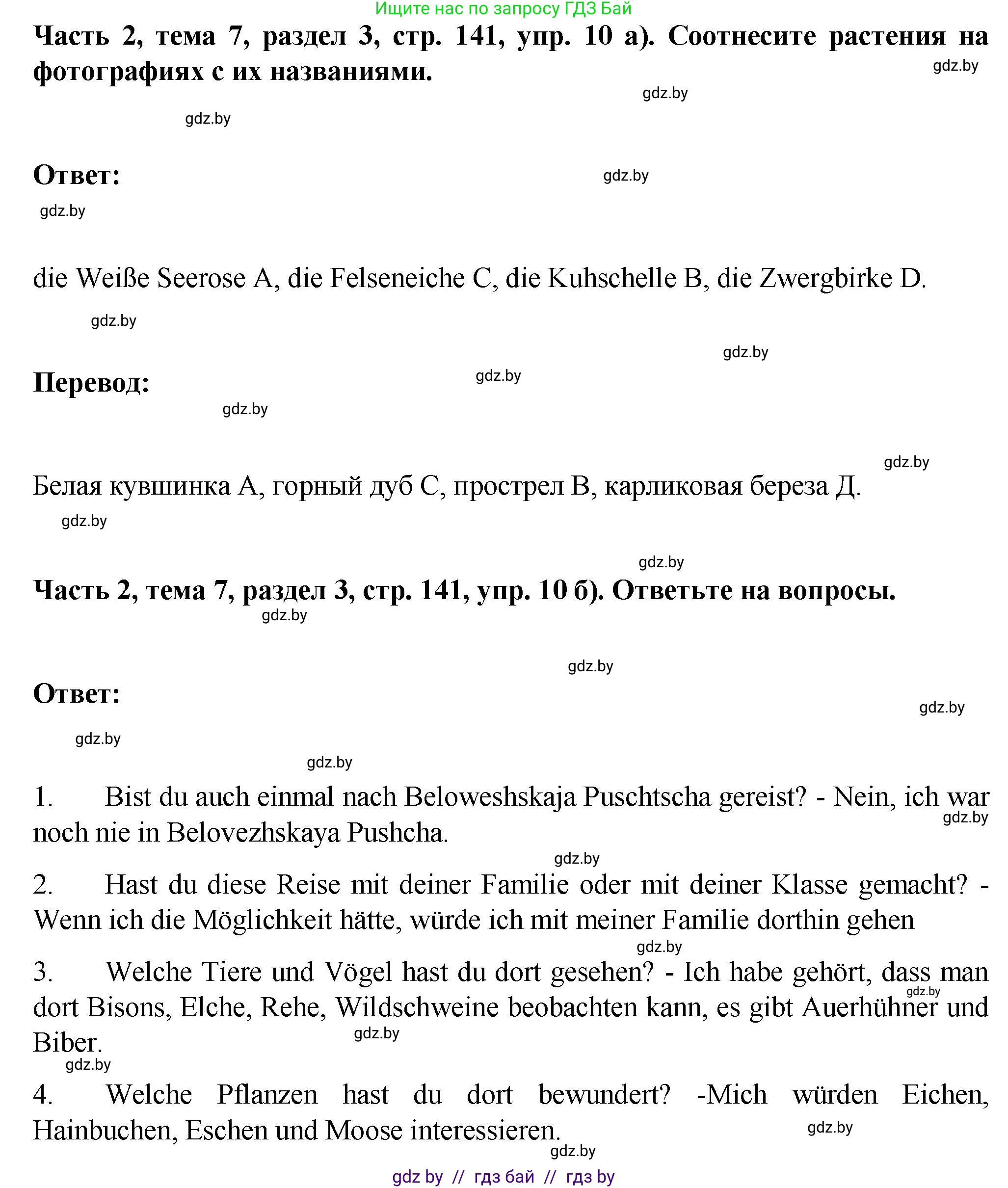 Немецкий язык (Deutsch), 6 класс Учебник (Schülerbuch), авторы: Зуевская Елена Викторовна, Салынская Светлана Ивановна, Негурэ Ольга Вячеславовна, издательство Вышэйшая школа, Минск, 2022, жёлтого цвета, Teil 2, страница 140, номер 10, Решение (продолжение 2)