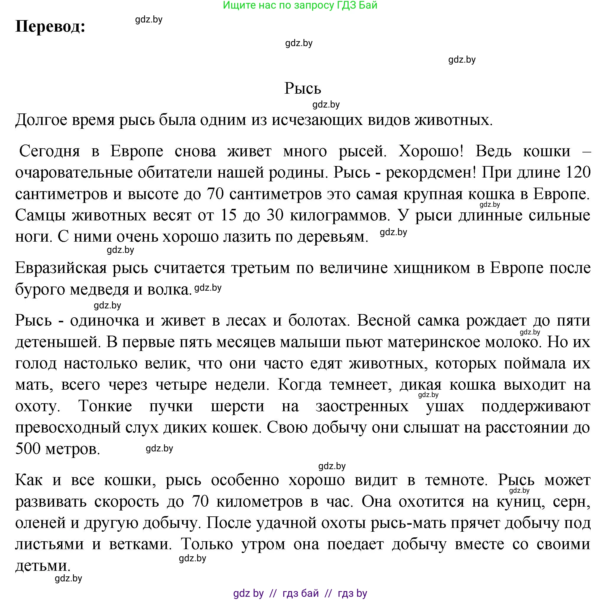 Немецкий язык (Deutsch), 6 класс Учебник (Schülerbuch), авторы: Зуевская Елена Викторовна, Салынская Светлана Ивановна, Негурэ Ольга Вячеславовна, издательство Вышэйшая школа, Минск, 2022, жёлтого цвета, Teil 2, страница 176, номер 2, Решение (продолжение 2)