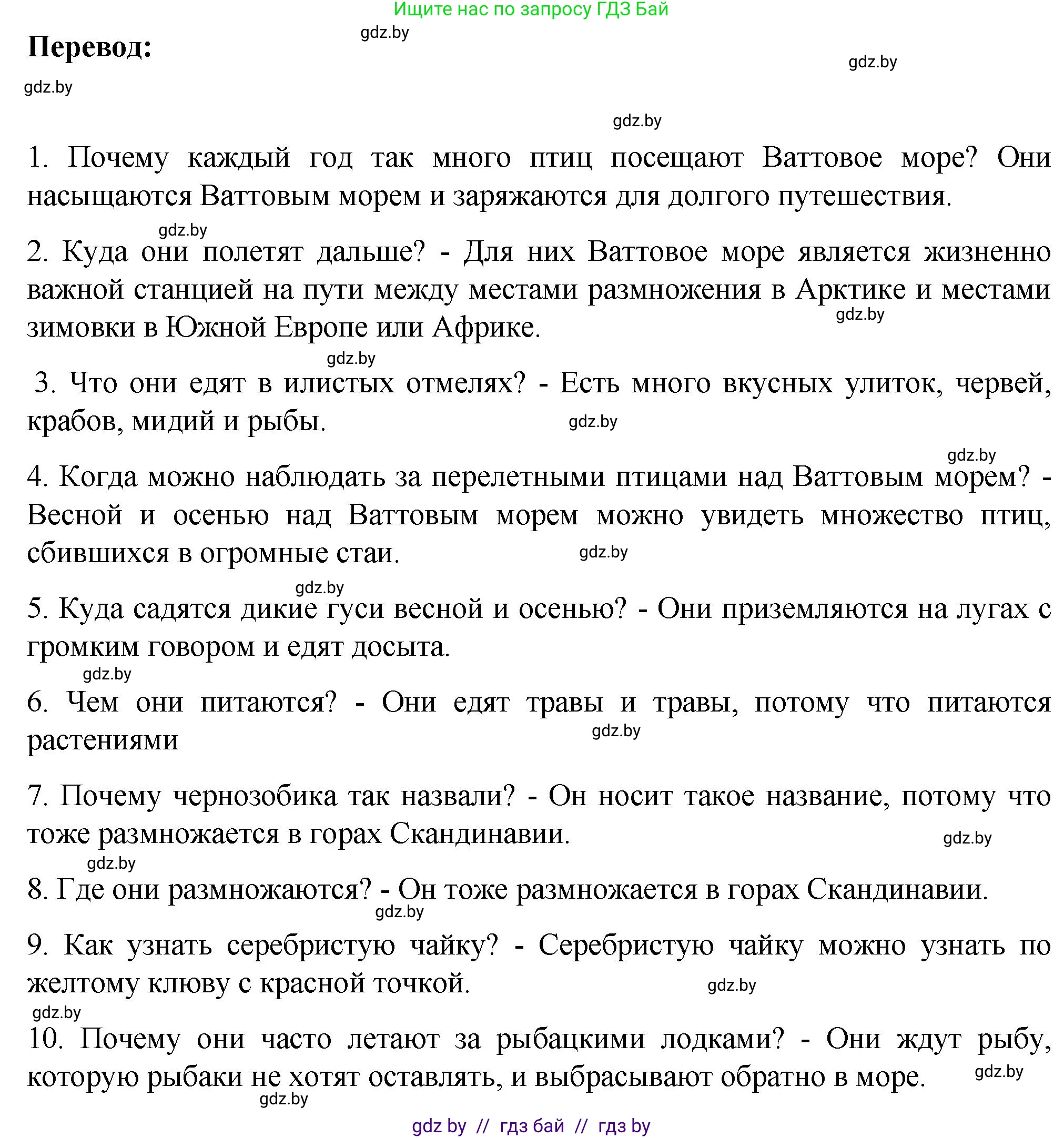 Немецкий язык (Deutsch), 6 класс Учебник (Schülerbuch), авторы: Зуевская Елена Викторовна, Салынская Светлана Ивановна, Негурэ Ольга Вячеславовна, издательство Вышэйшая школа, Минск, 2022, жёлтого цвета, Teil 2, страница 163, номер 2, Решение (продолжение 2)