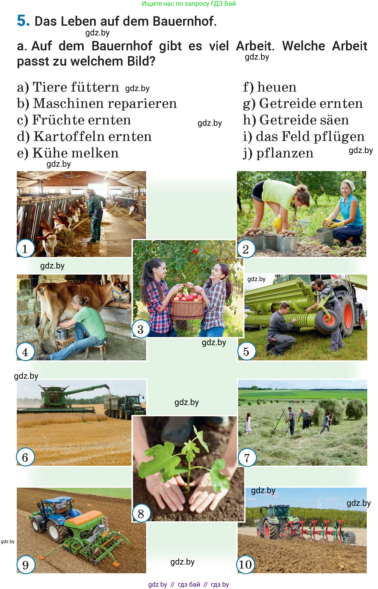 Немецкий язык (Deutsch), 7 класс Учебник (Schülerbuch), авторы: Будько Антонина Филипповна (Budjko Antonina), Урбанович Инна Ювинальевна (Urbanowitsch Ina), издательство Вышэйшая школа, Минск, 2021, страница 158, номер 5, Условие