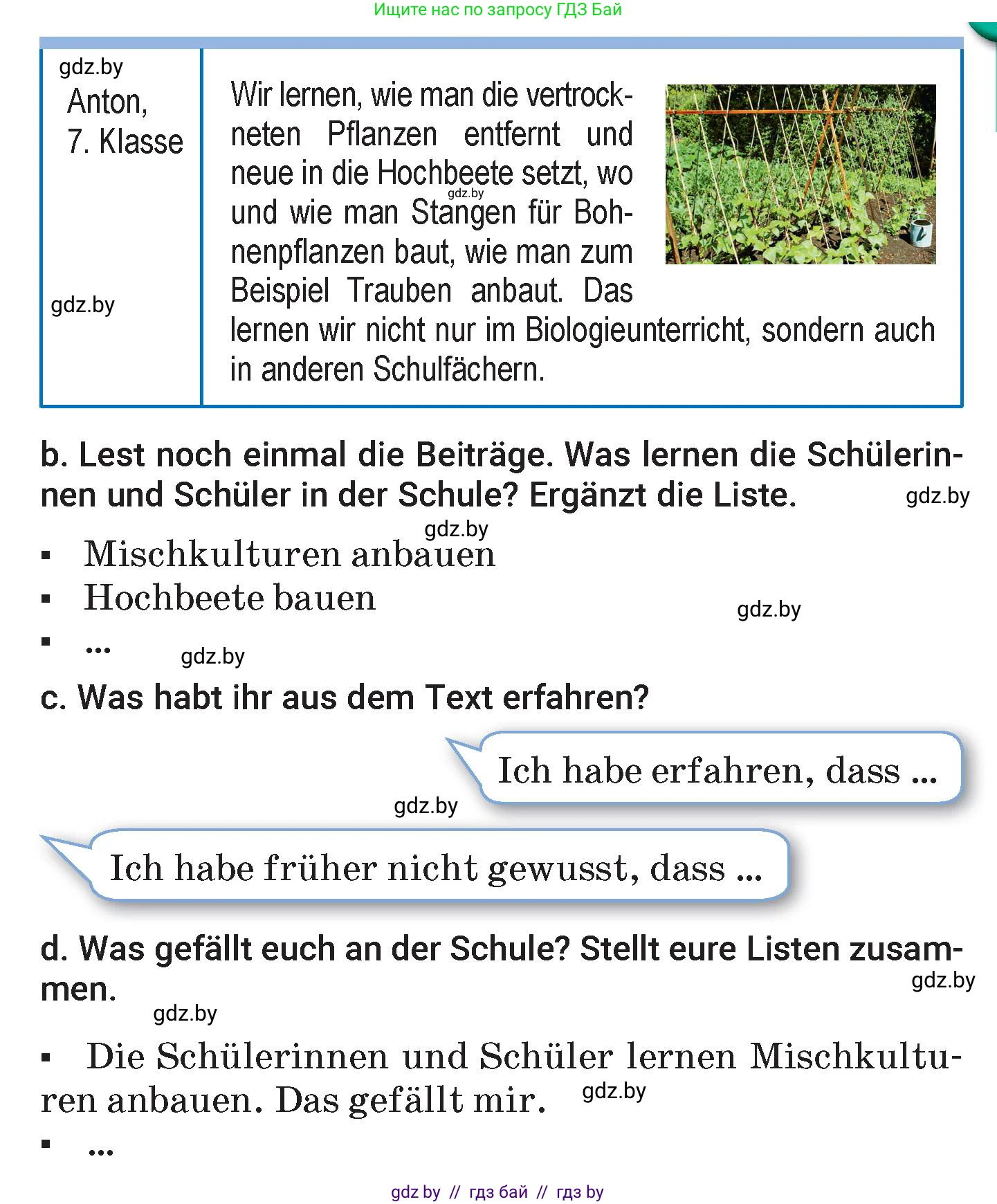 Немецкий язык (Deutsch), 7 класс Учебник (Schülerbuch), авторы: Будько Антонина Филипповна (Budjko Antonina), Урбанович Инна Ювинальевна (Urbanowitsch Ina), издательство Вышэйшая школа, Минск, 2021, страница 161, номер 6, Условие (продолжение 3)