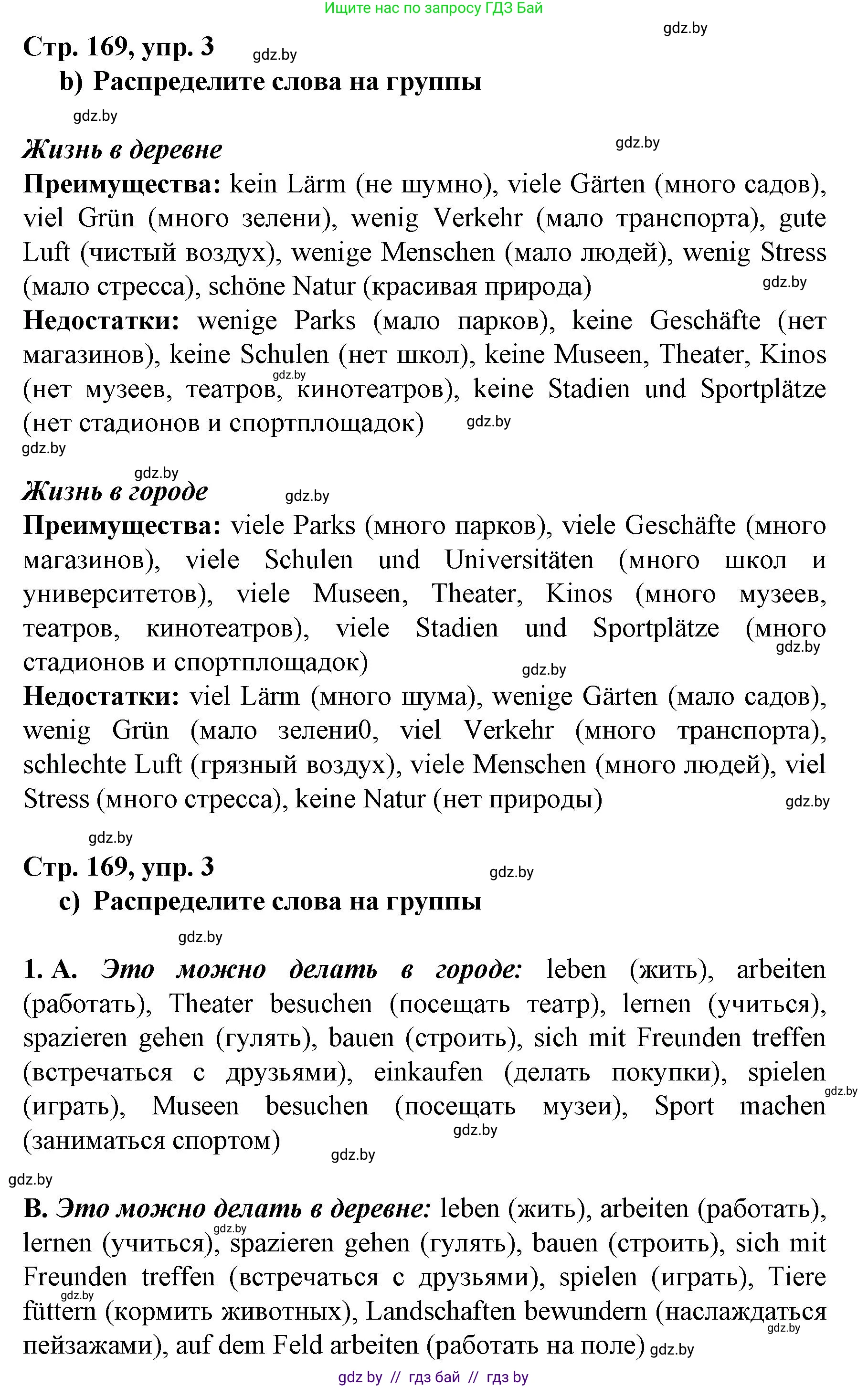 Немецкий язык (Deutsch), 7 класс Учебник (Schülerbuch), авторы: Будько Антонина Филипповна (Budjko Antonina), Урбанович Инна Ювинальевна (Urbanowitsch Ina), издательство Вышэйшая школа, Минск, 2021, страница 169, номер 3, Решение (продолжение 2)