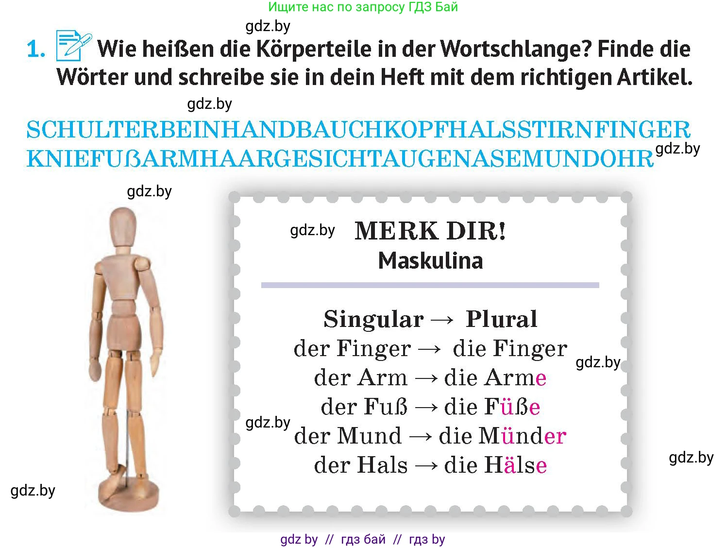 Немецкий язык (Deutsch), 7 класс Учебник (Schülerbuch), авторы: Лаптева Н Е, Зуевская Елена Викторовна, Леус Алла Михайловна, Шиманская Н Г, издательство Издательский центр БГУ, Минск, 2026, Teil 1, страница 7, номер 1, Условие