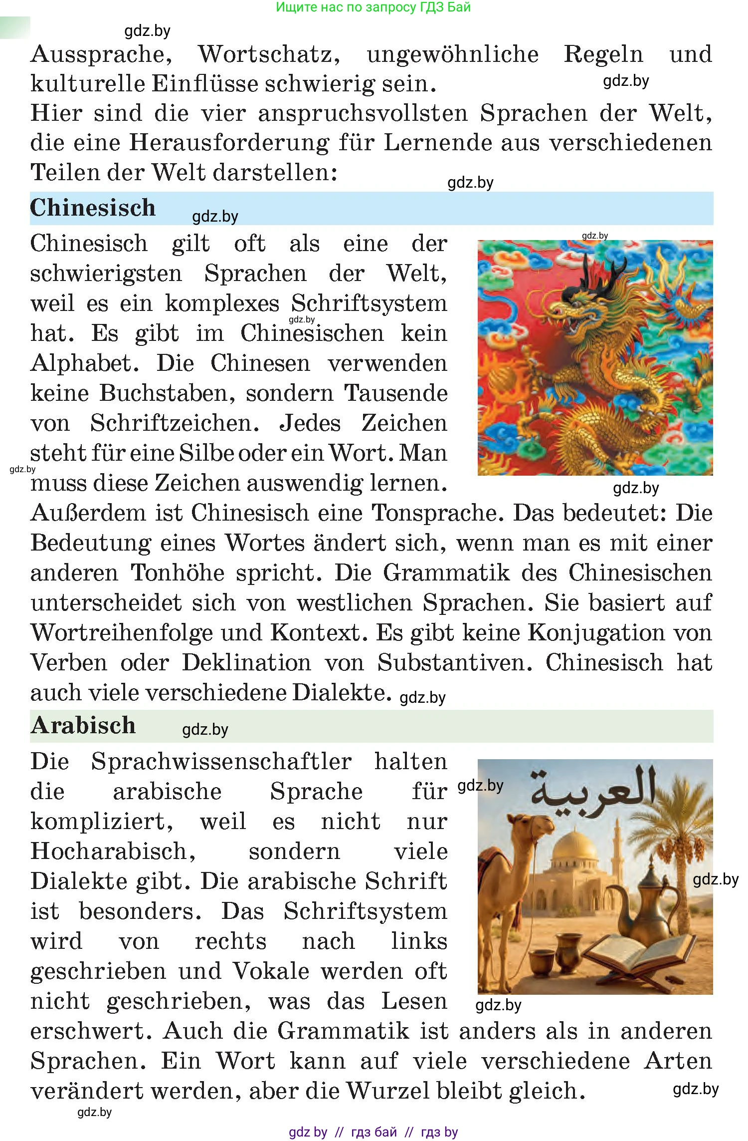 Немецкий язык (Deutsch), 7 класс Учебник (Schülerbuch), авторы: Лаптева Н Е, Зуевская Елена Викторовна, Леус Алла Михайловна, Шиманская Н Г, издательство Издательский центр БГУ, Минск, 2026, Teil 2, страница 13, номер 7, Условие (продолжение 2)