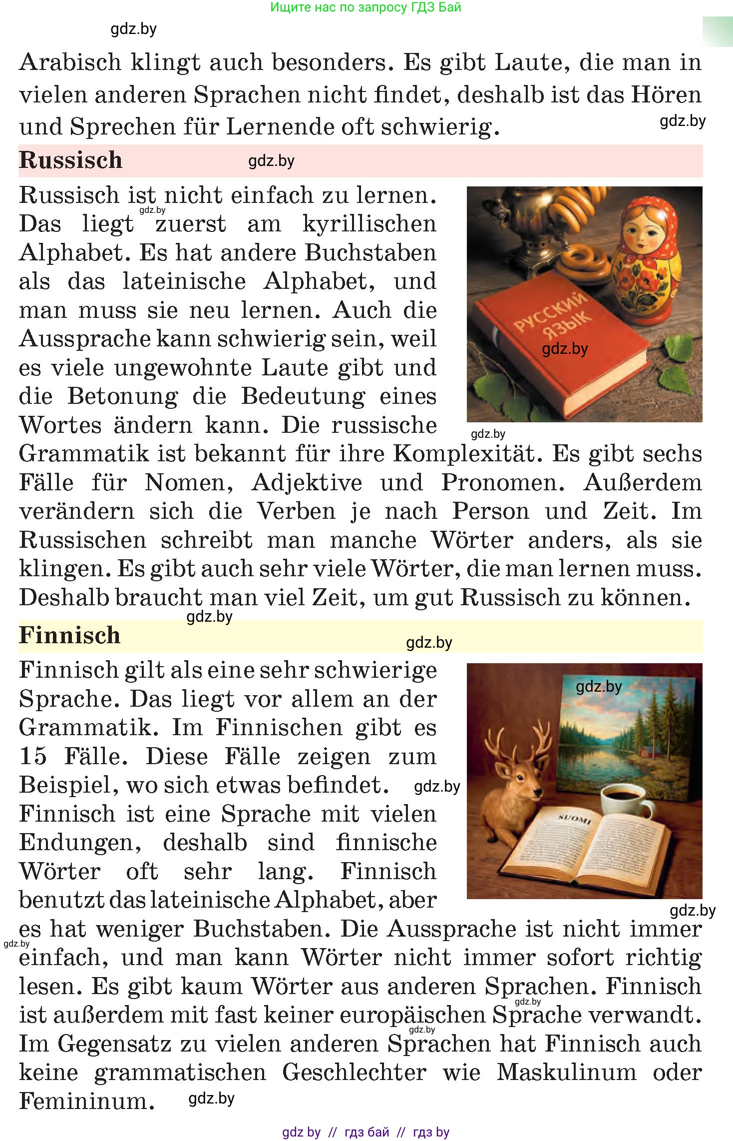 Немецкий язык (Deutsch), 7 класс Учебник (Schülerbuch), авторы: Лаптева Н Е, Зуевская Елена Викторовна, Леус Алла Михайловна, Шиманская Н Г, издательство Издательский центр БГУ, Минск, 2026, Teil 2, страница 13, номер 7, Условие (продолжение 3)