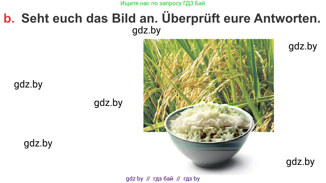 Немецкий язык (Deutsch), 8 класс Учебник (Schülerbuch), авторы: Будько Антонина Филипповна (Budjko Antonina), Урбанович Инна Ювинальевна (Urbanowitsch Ina), издательство Вышэйшая школа, Минск, 2018, страница 222, номер 6b, Условие