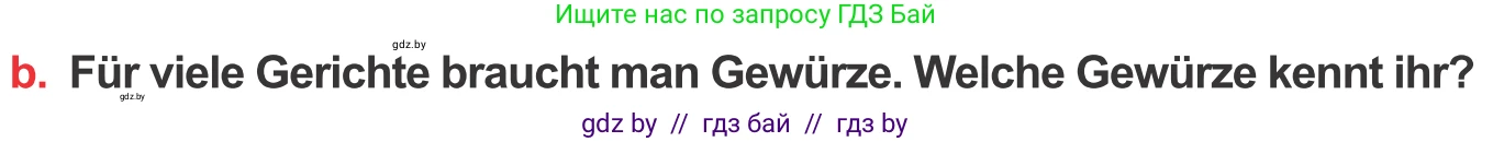 Немецкий язык (Deutsch), 8 класс Учебник (Schülerbuch), авторы: Будько Антонина Филипповна (Budjko Antonina), Урбанович Инна Ювинальевна (Urbanowitsch Ina), издательство Вышэйшая школа, Минск, 2018, страница 225, номер 9b, Условие
