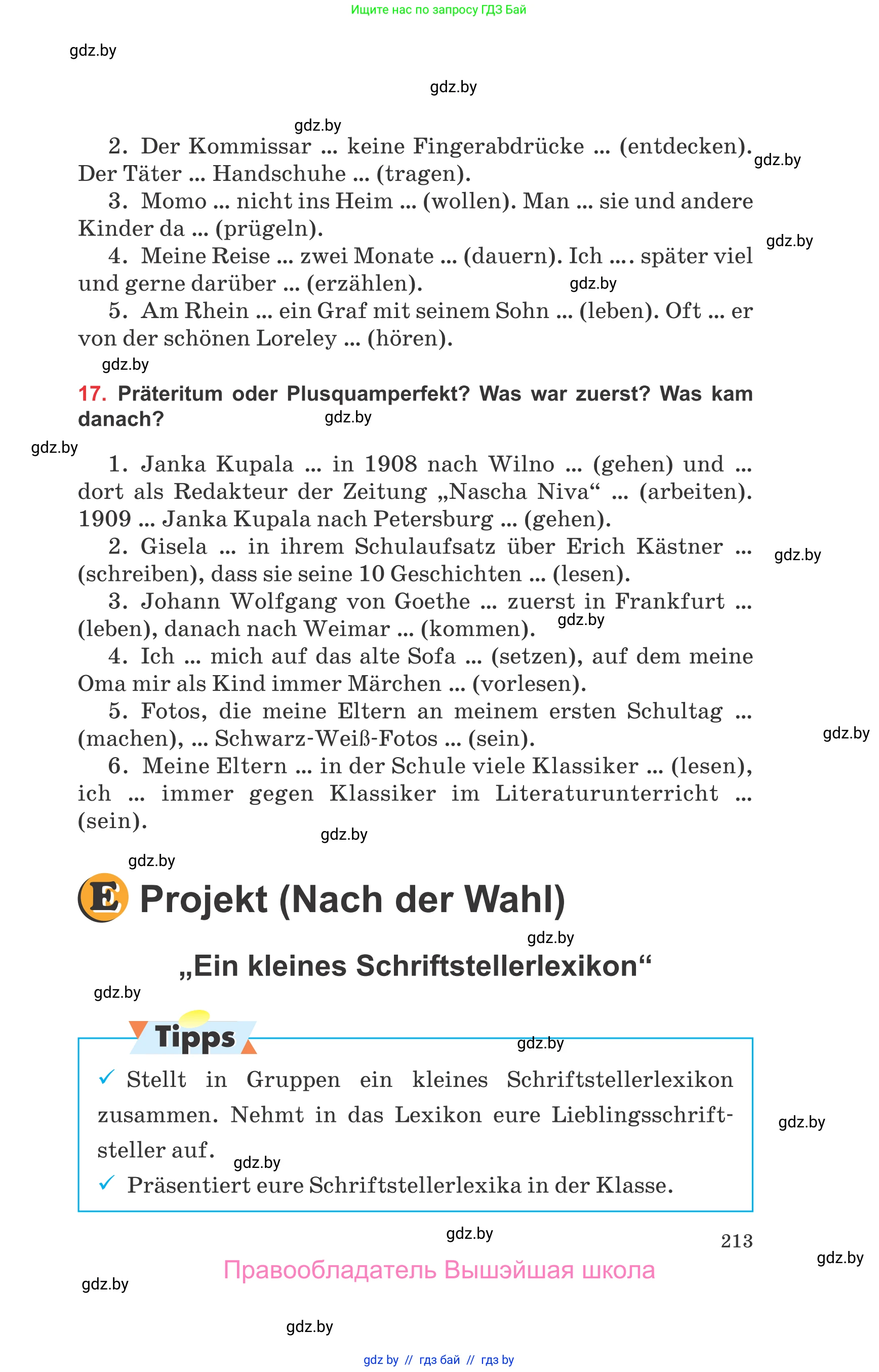 Немецкий язык (Deutsch), 8 класс Учебник (Schülerbuch), авторы: Будько Антонина Филипповна (Budjko Antonina), Урбанович Инна Ювинальевна (Urbanowitsch Ina), издательство Вышэйшая школа, Минск, 2018, страница 213