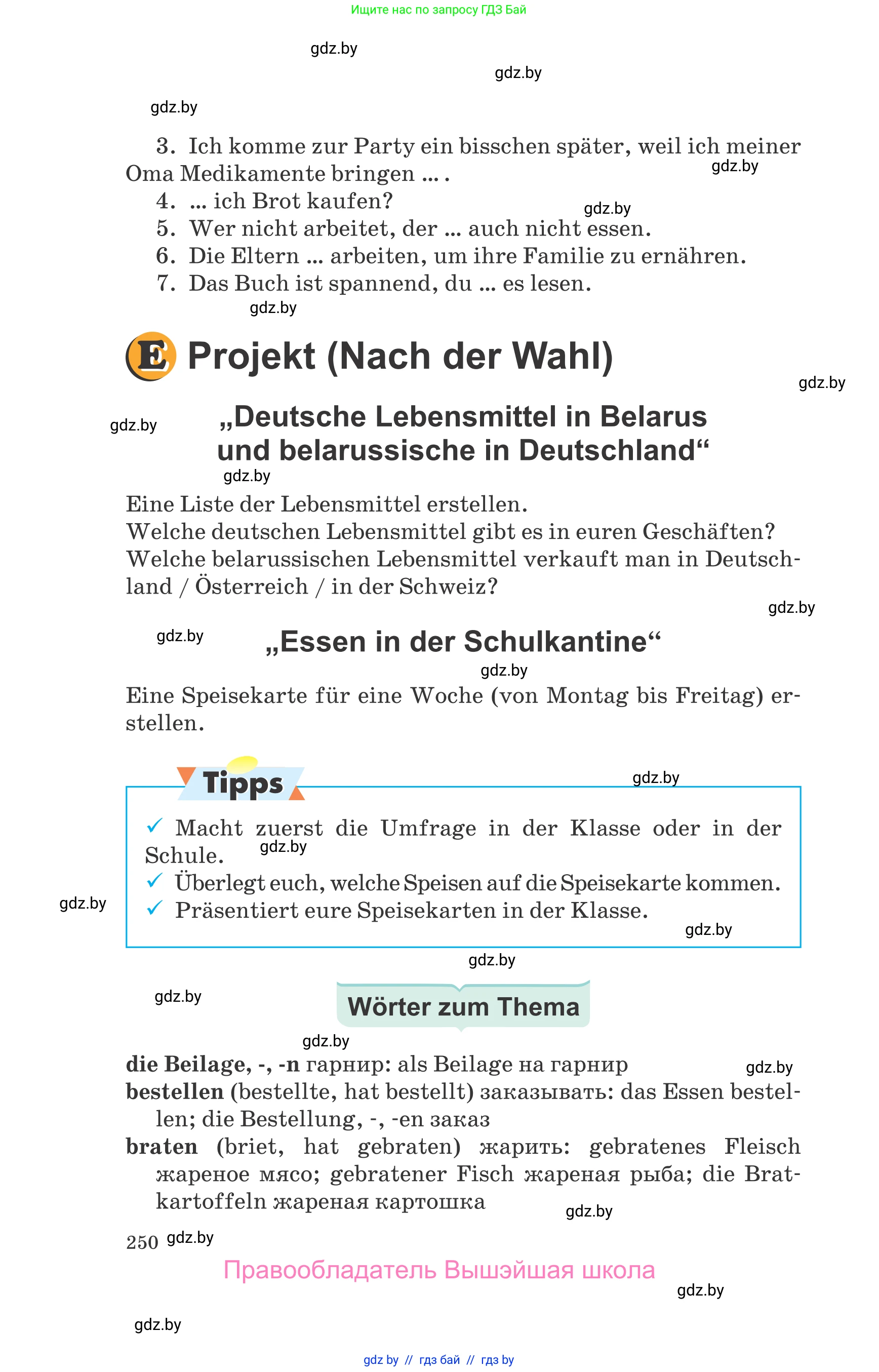 Немецкий язык (Deutsch), 8 класс Учебник (Schülerbuch), авторы: Будько Антонина Филипповна (Budjko Antonina), Урбанович Инна Ювинальевна (Urbanowitsch Ina), издательство Вышэйшая школа, Минск, 2018, страница 250