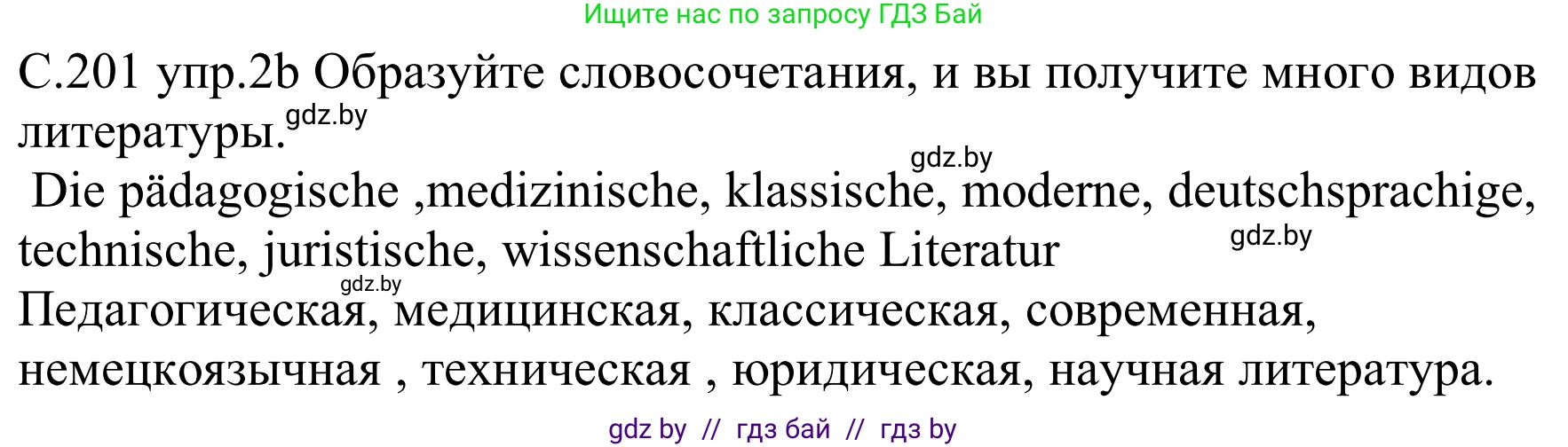 Немецкий язык (Deutsch), 8 класс Учебник (Schülerbuch), авторы: Будько Антонина Филипповна (Budjko Antonina), Урбанович Инна Ювинальевна (Urbanowitsch Ina), издательство Вышэйшая школа, Минск, 2018, страница 201, номер 2b, Решение