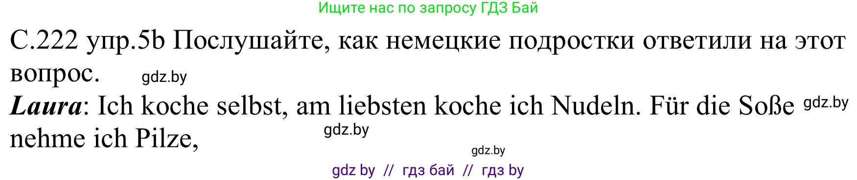 Немецкий язык (Deutsch), 8 класс Учебник (Schülerbuch), авторы: Будько Антонина Филипповна (Budjko Antonina), Урбанович Инна Ювинальевна (Urbanowitsch Ina), издательство Вышэйшая школа, Минск, 2018, страница 222, номер 5b, Решение