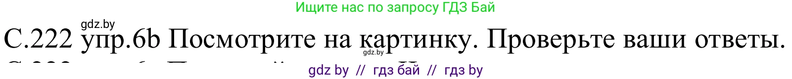 Немецкий язык (Deutsch), 8 класс Учебник (Schülerbuch), авторы: Будько Антонина Филипповна (Budjko Antonina), Урбанович Инна Ювинальевна (Urbanowitsch Ina), издательство Вышэйшая школа, Минск, 2018, страница 222, номер 6b, Решение