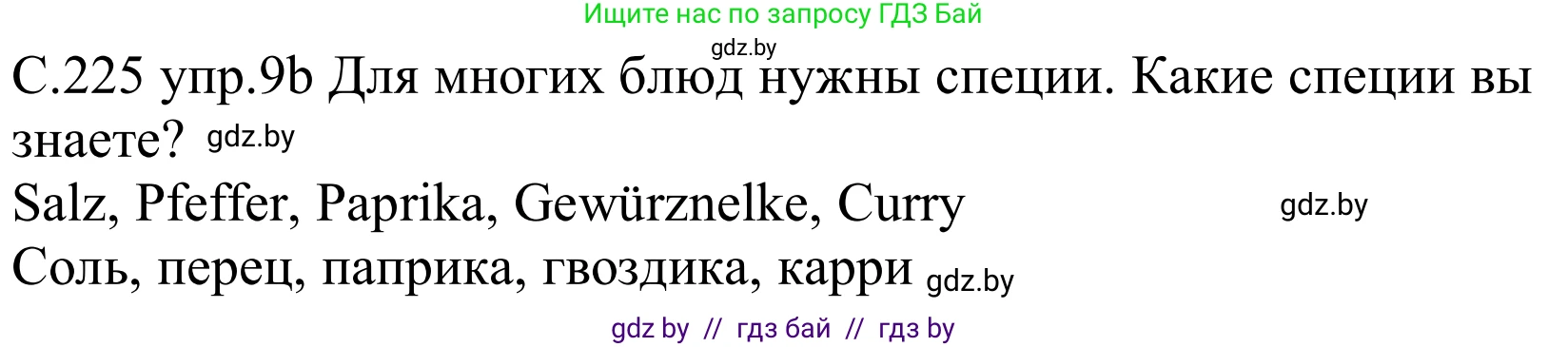 Немецкий язык (Deutsch), 8 класс Учебник (Schülerbuch), авторы: Будько Антонина Филипповна (Budjko Antonina), Урбанович Инна Ювинальевна (Urbanowitsch Ina), издательство Вышэйшая школа, Минск, 2018, страница 225, номер 9b, Решение