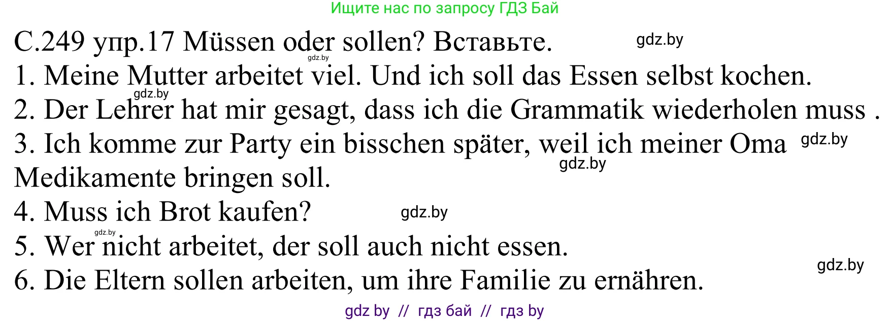 Немецкий язык (Deutsch), 8 класс Учебник (Schülerbuch), авторы: Будько Антонина Филипповна (Budjko Antonina), Урбанович Инна Ювинальевна (Urbanowitsch Ina), издательство Вышэйшая школа, Минск, 2018, страница 249, номер 17, Решение